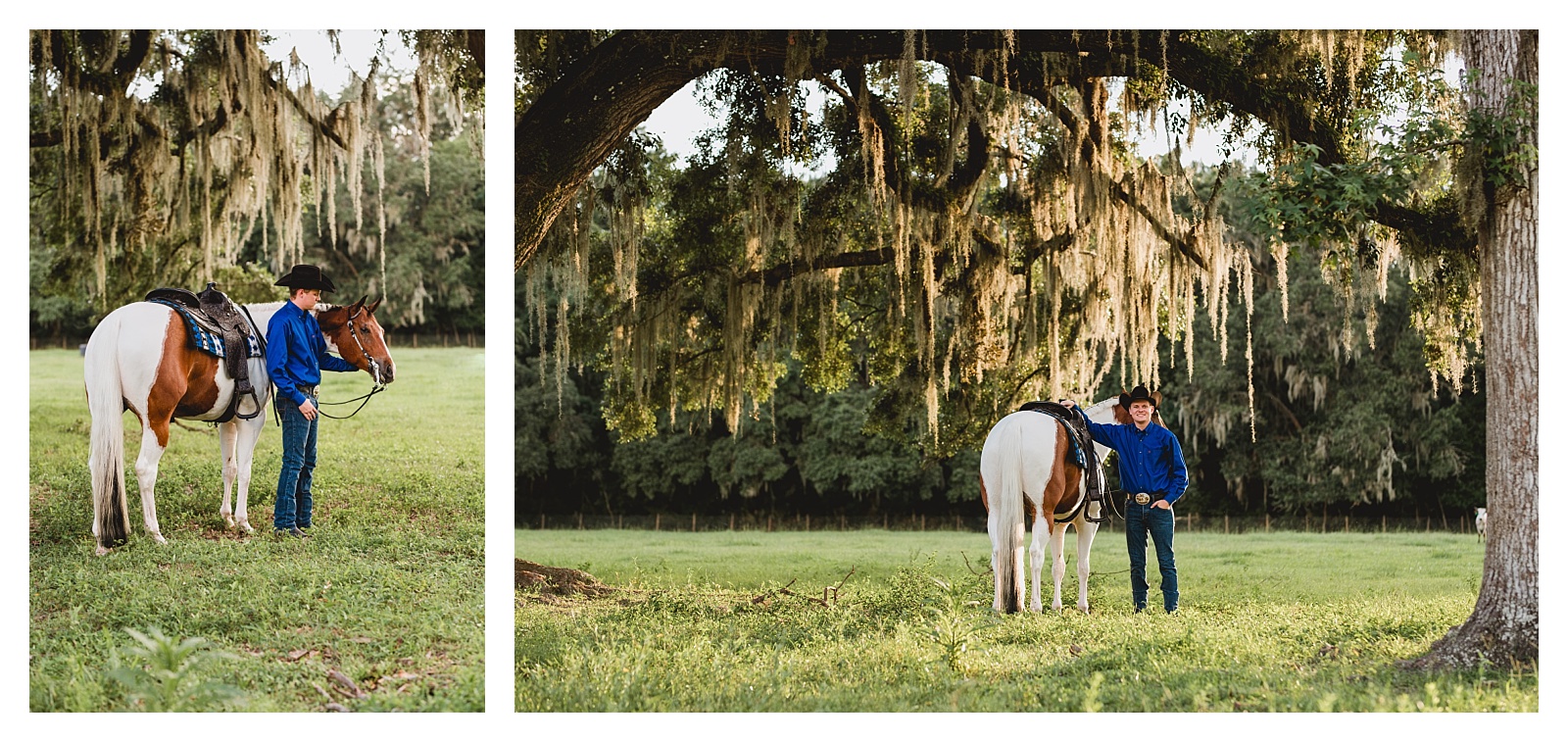 Horse and rider portrait session with oak trees in Gainesville, Florida.