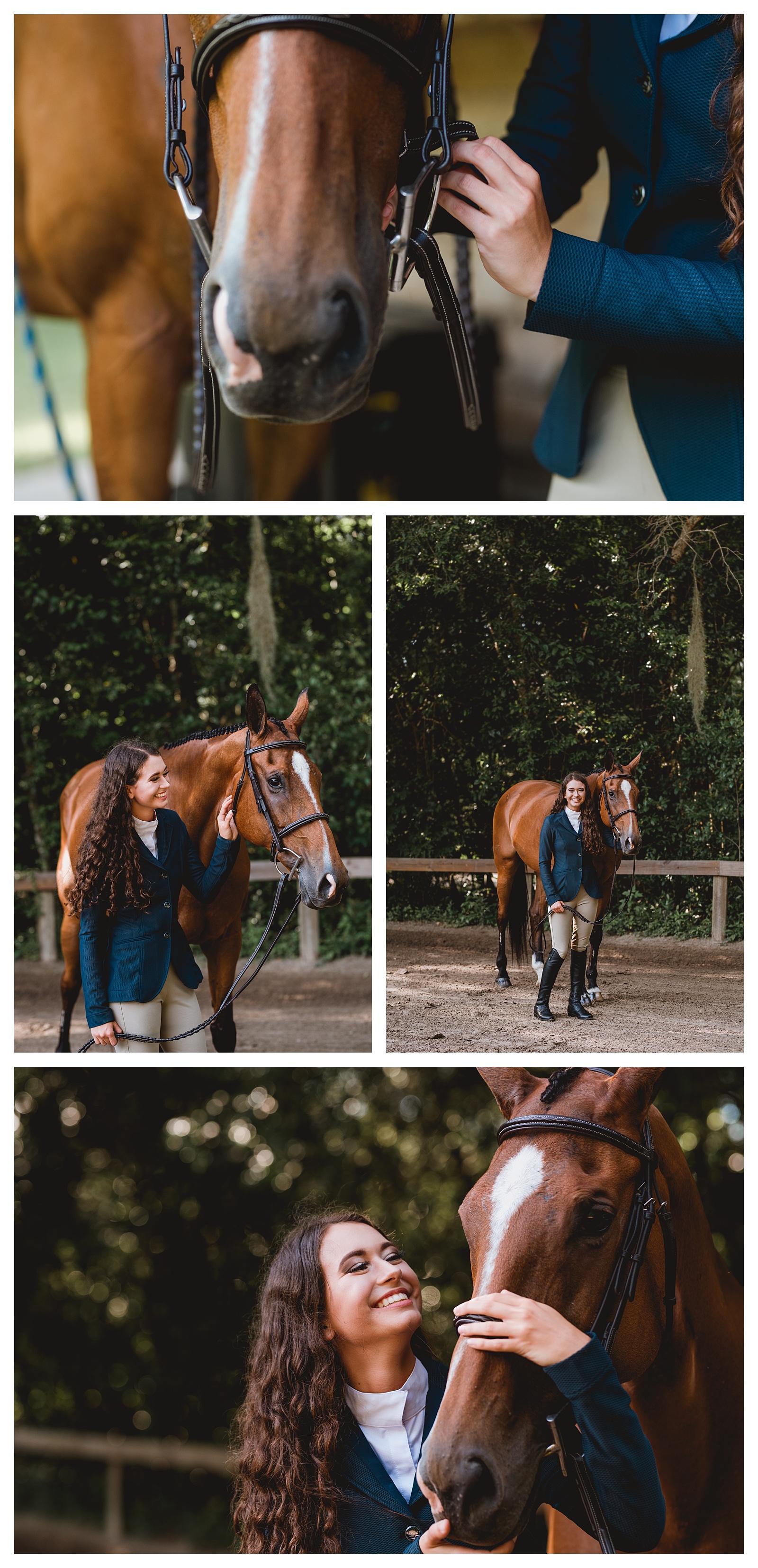 North Florida equestrian photos in Gainesville, FL 