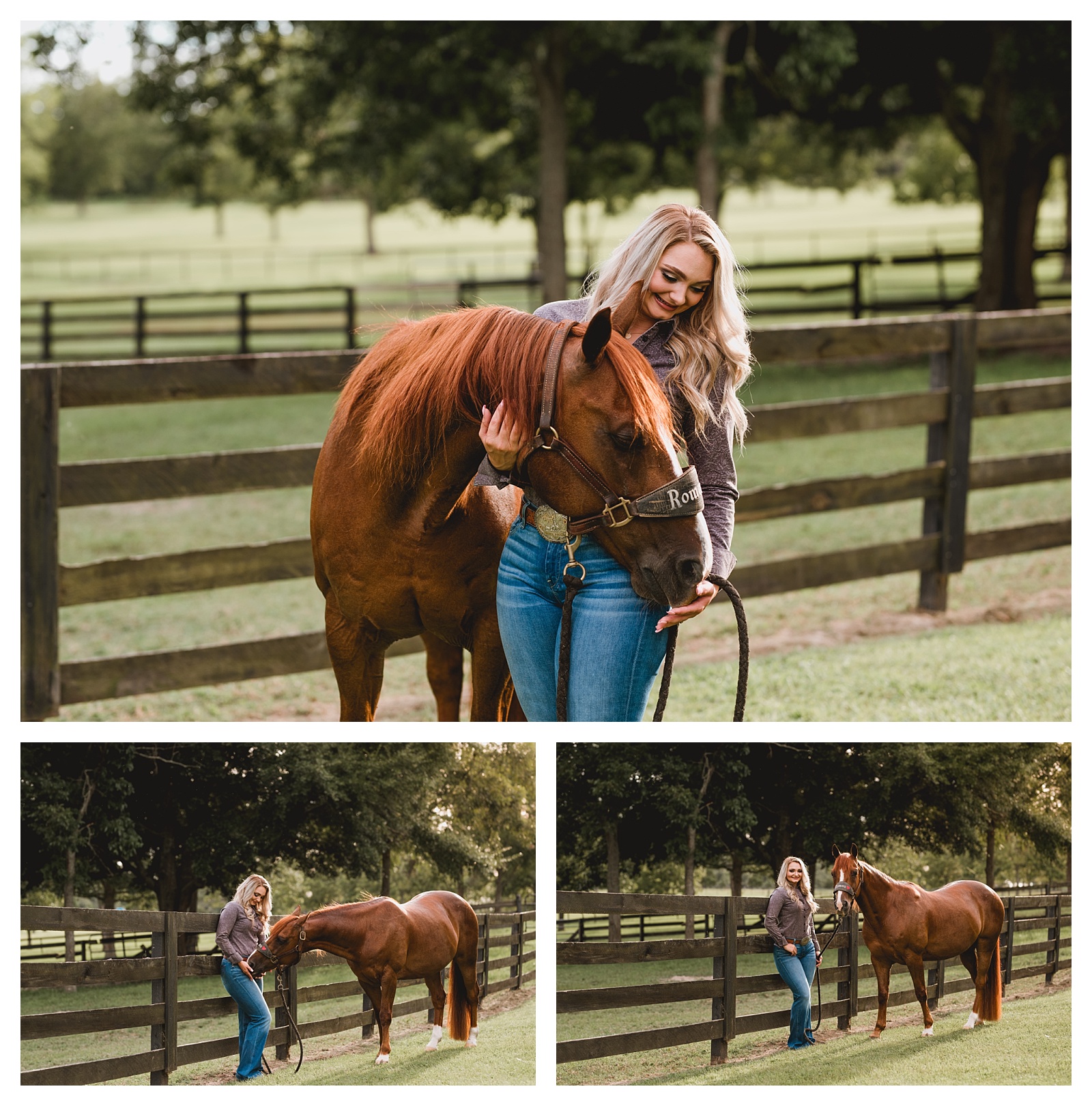 Natural candid horse photos by Shelly Williams Photography. North Florida
