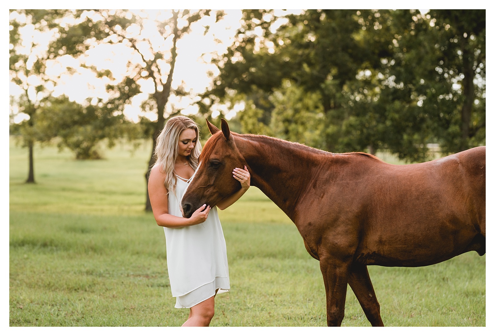 Natural candid horse and rider photos. Shelly Williams Photography. North Florida