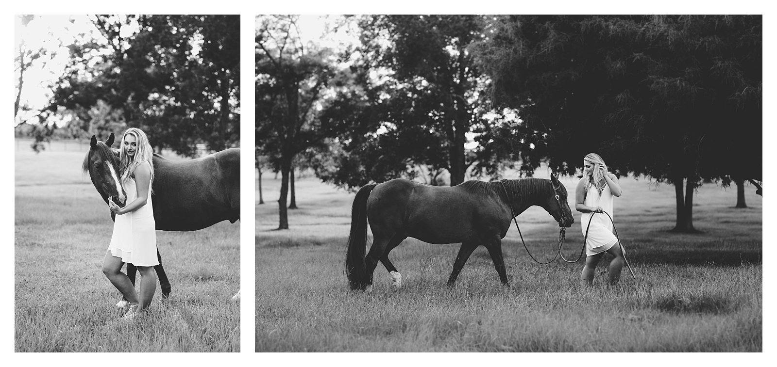 Black and white horse photography by Shelly Williams in Ocala Florida 