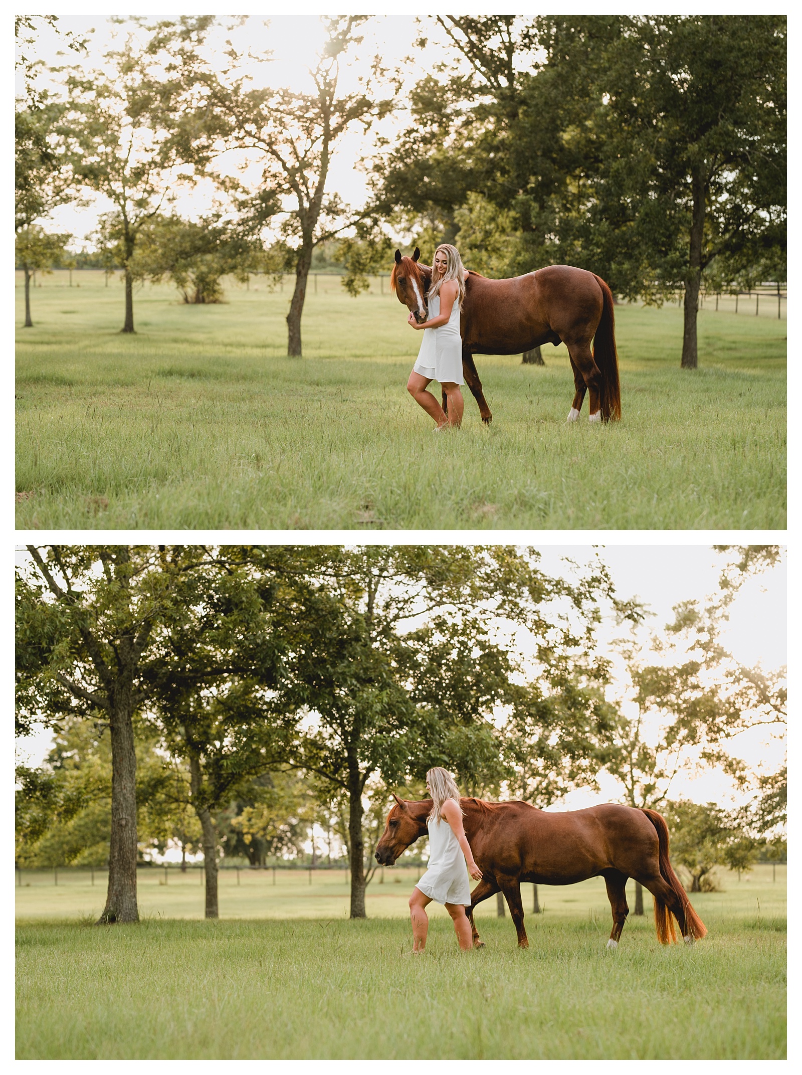 Equine professional pictures. Photographer Shelly Williams located in North Florida.
