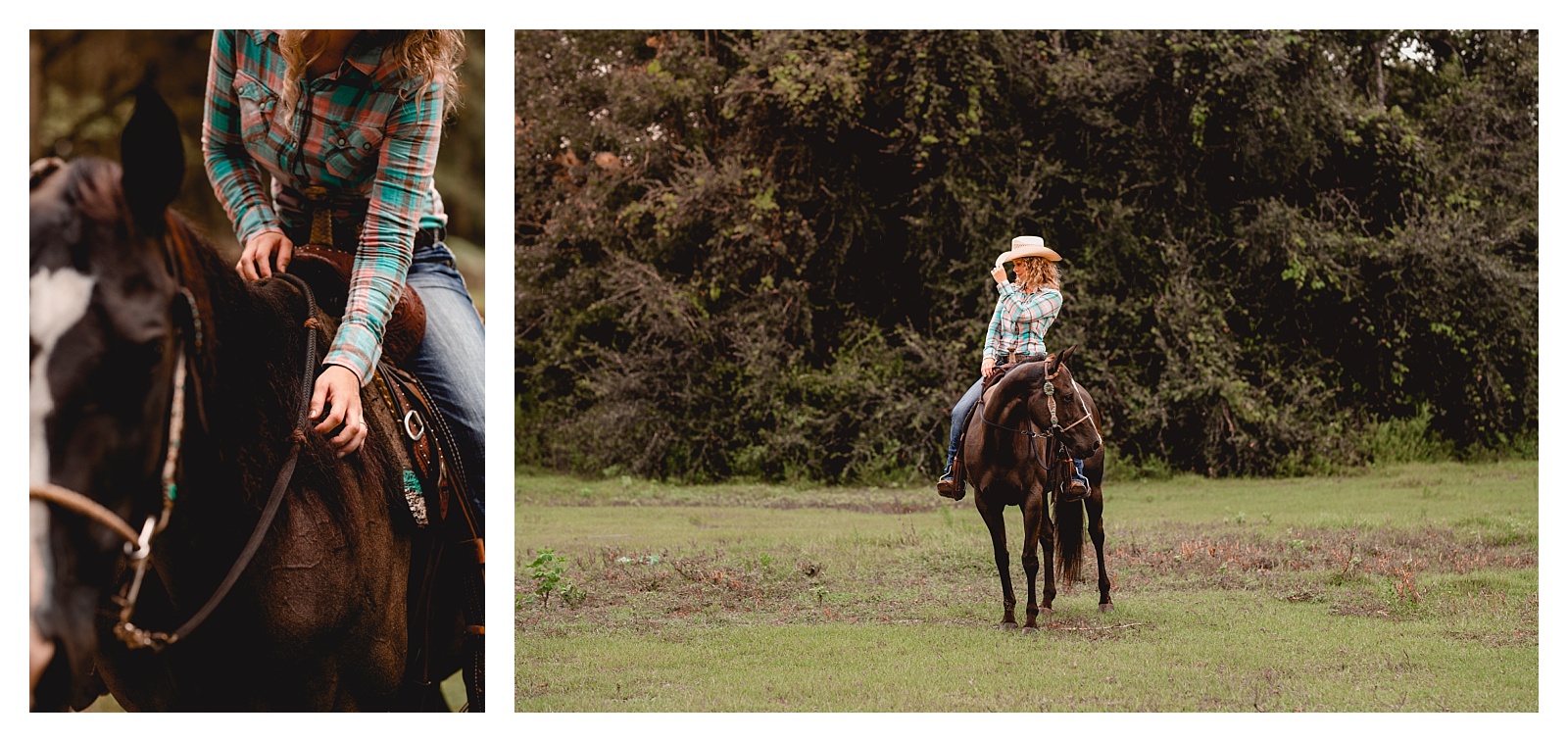 Equestrian photographer willing to travel in North Florida and South Georgia. Shelly Williams Photography