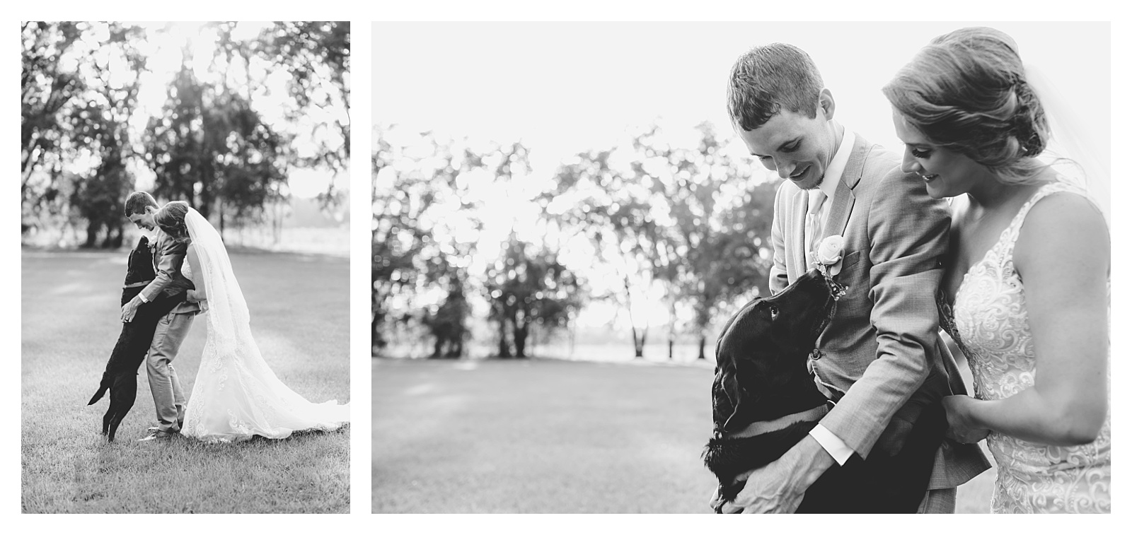 Sweet photos of dog with wedding couple in North Florida. Shelly Williams Photography