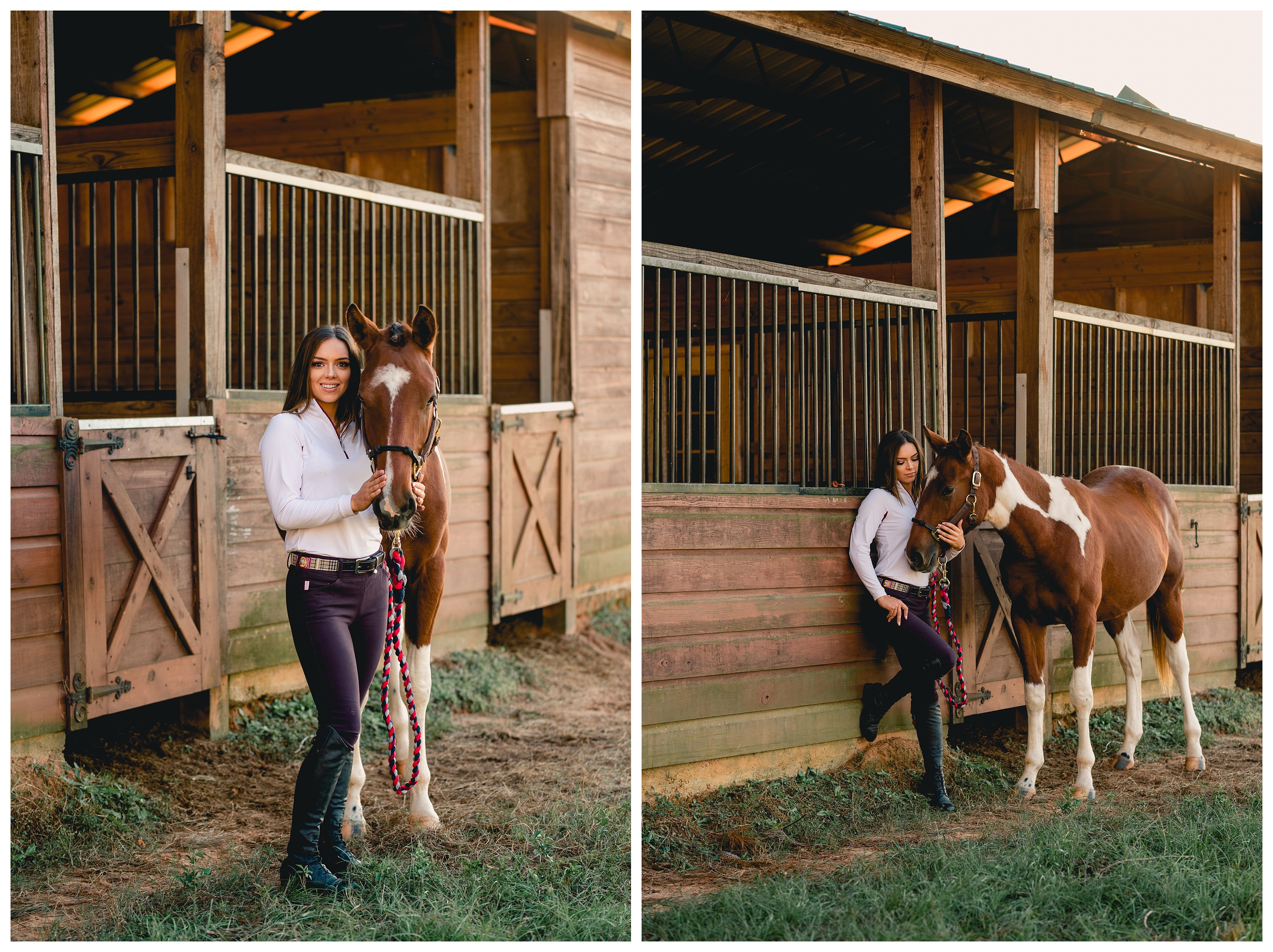 Equine portrait session using the barn. Shelly Williams Photography