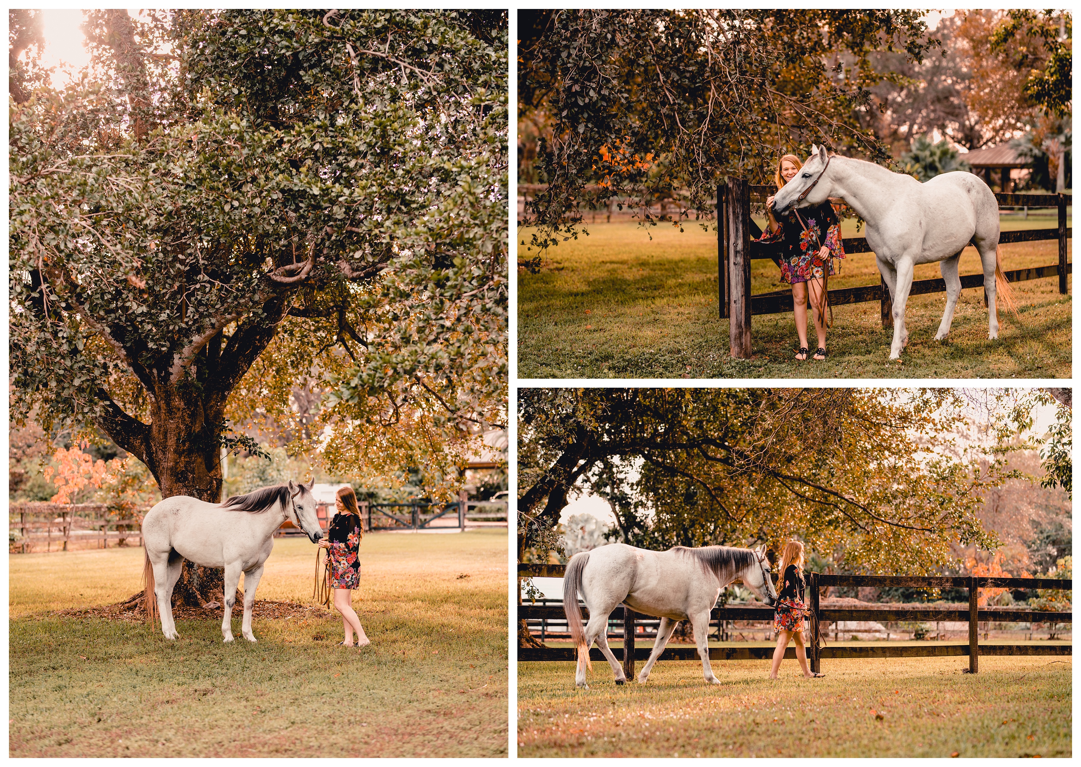South Florida horse photographer capturing the bond between horse and rider. Shelly Williams Photography