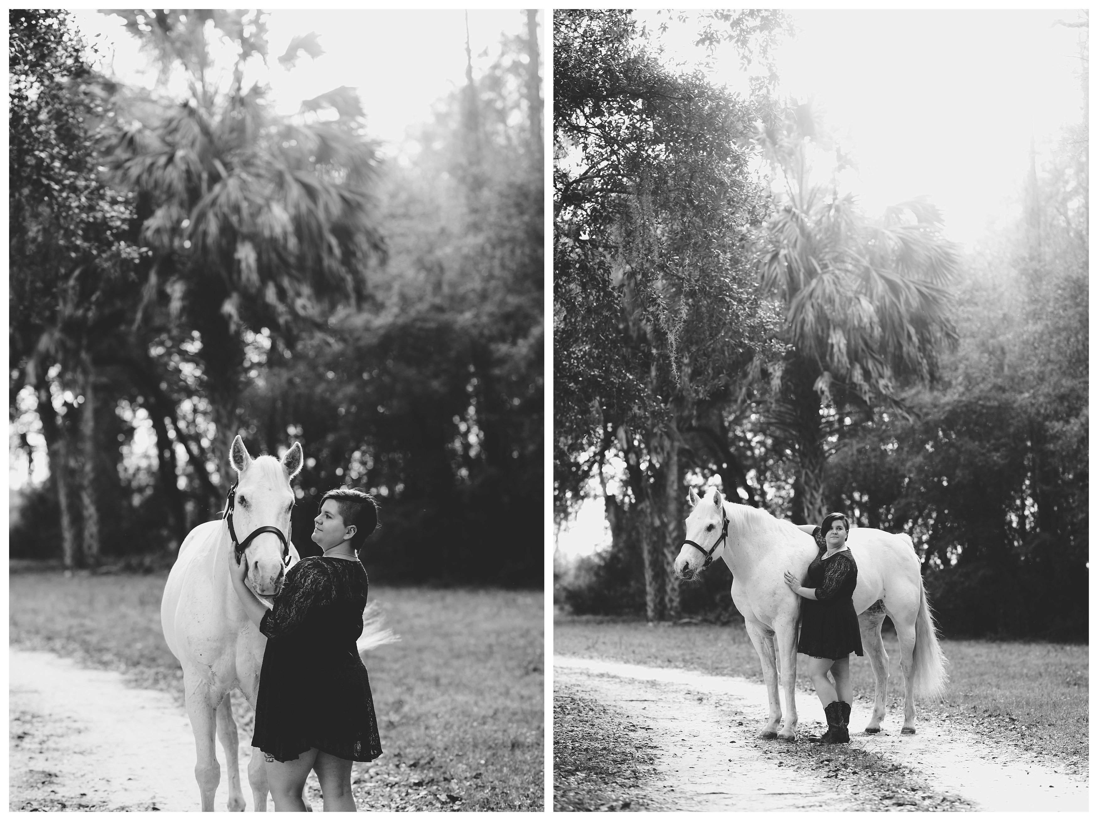 Professional horse photographer located near Ocala, FL. Shelly Williams Photography