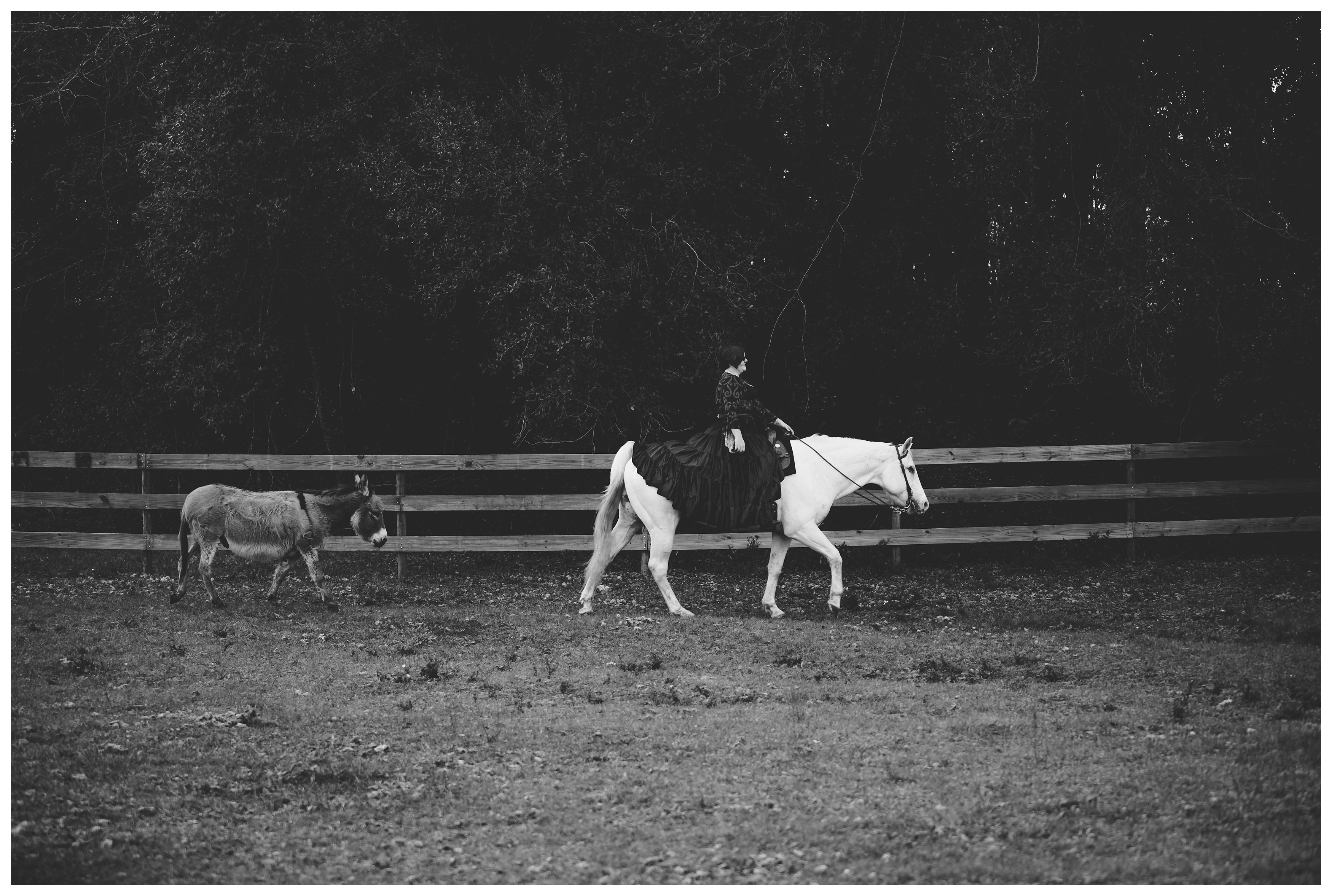 Lifestyle horse and rider pictures near Gainesville, FL. Shelly Williams Photography