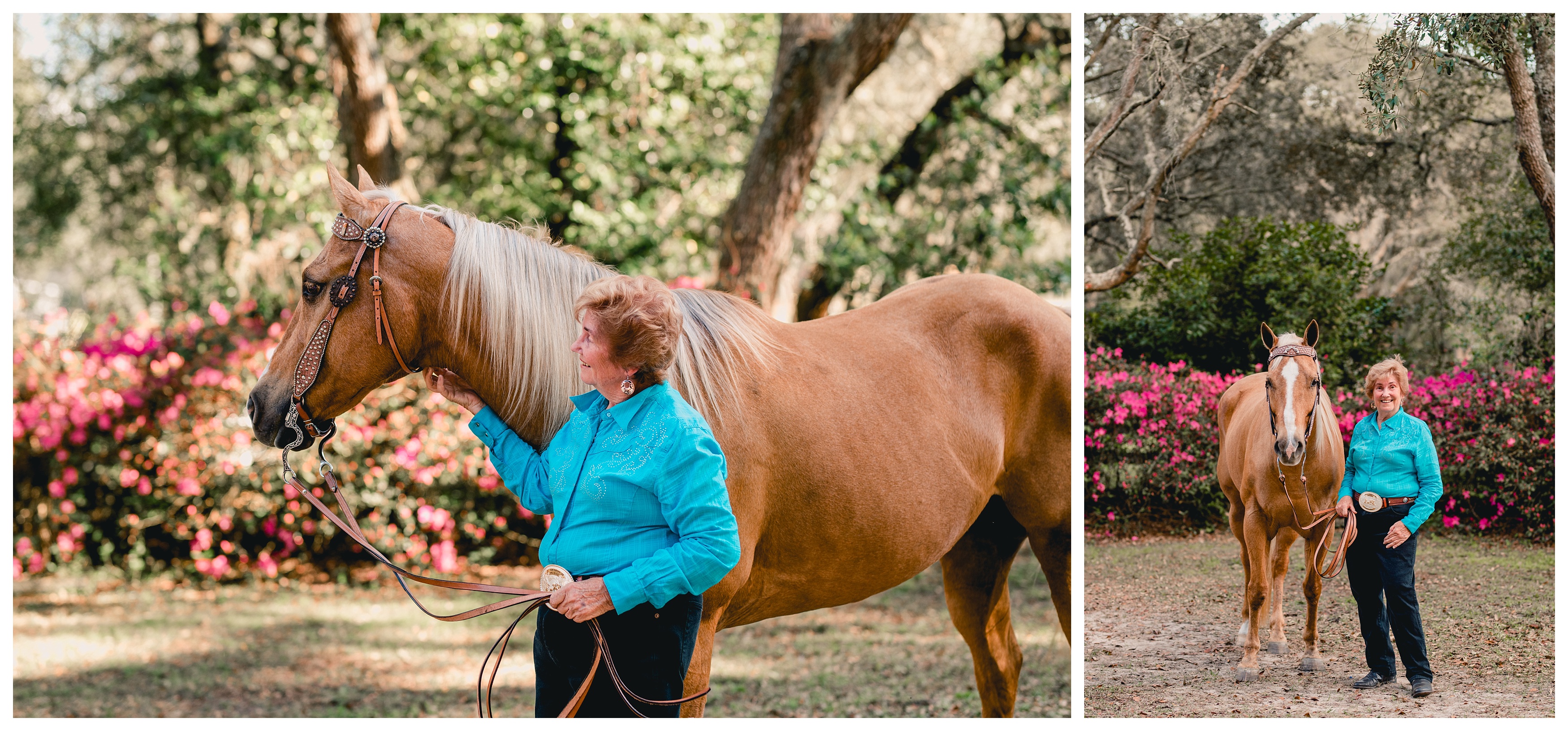 Horse and rider photography session in Ocala, the horse capital of the world. Shelly Williams Photography