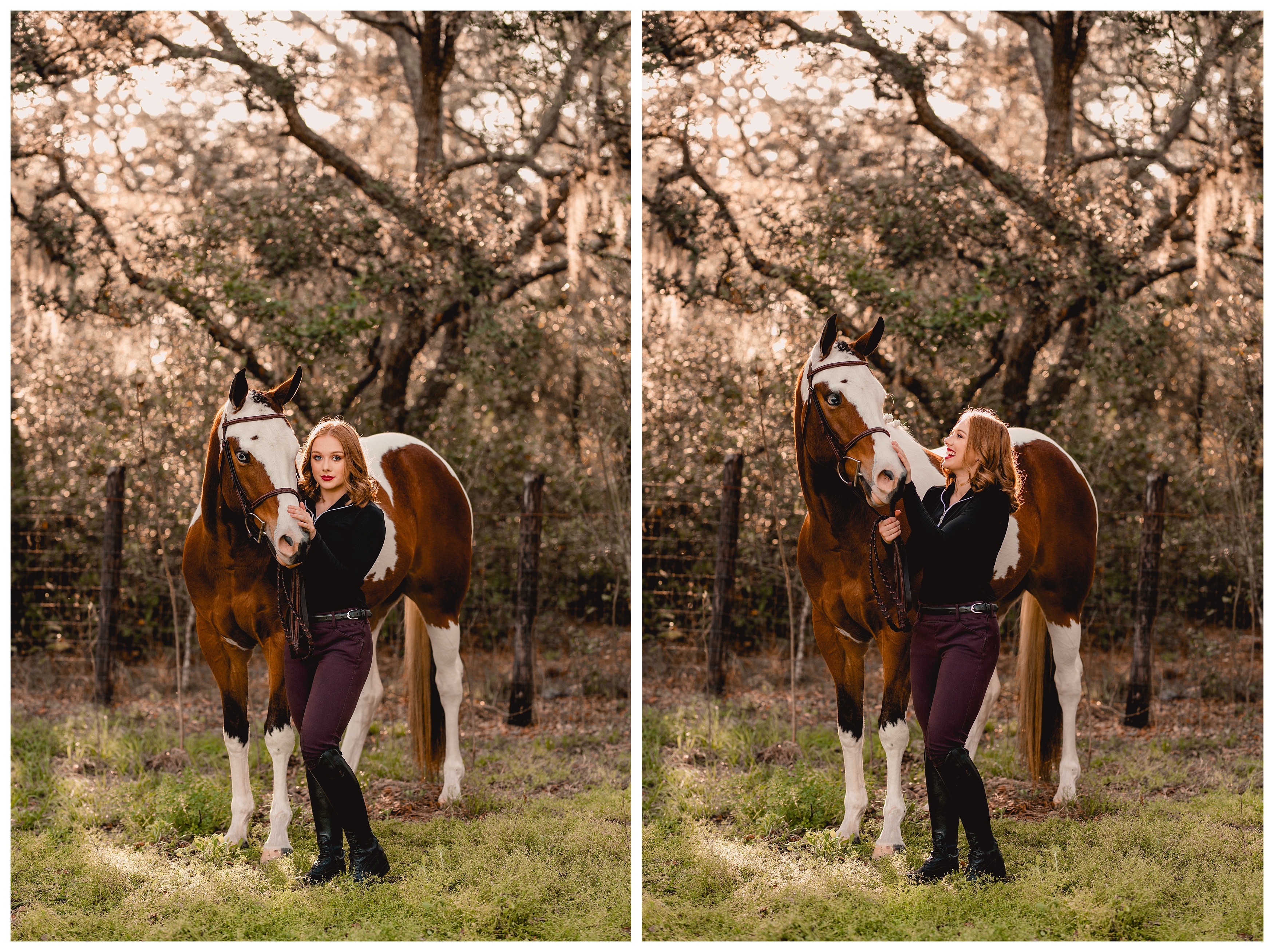 The perfect light came through the trees for this horse and rider session in Florida. Shelly Williams Photography