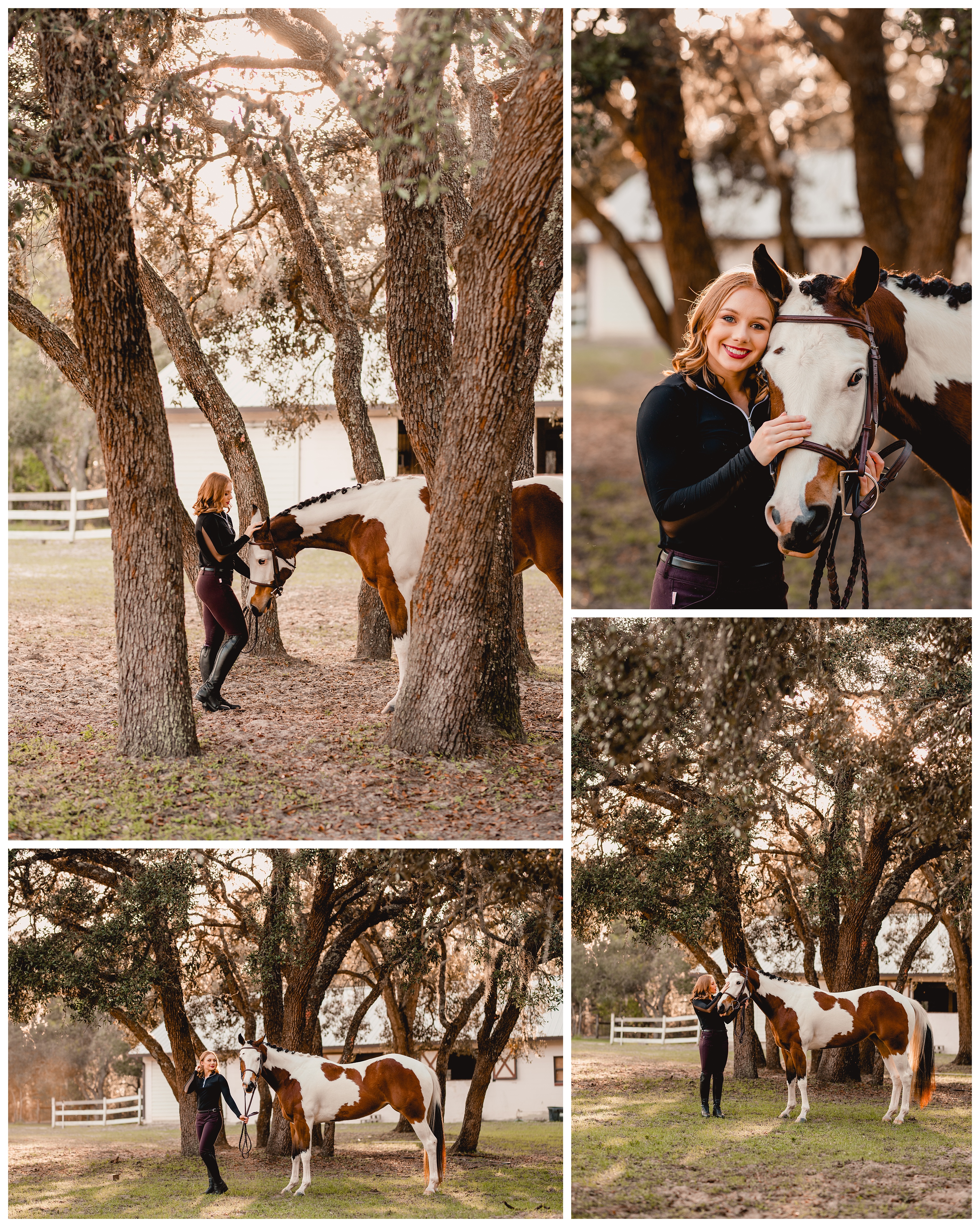 Unique photoshoot with a blue eyed paint horse in Ocala, Fl. Shelly Williams Photography