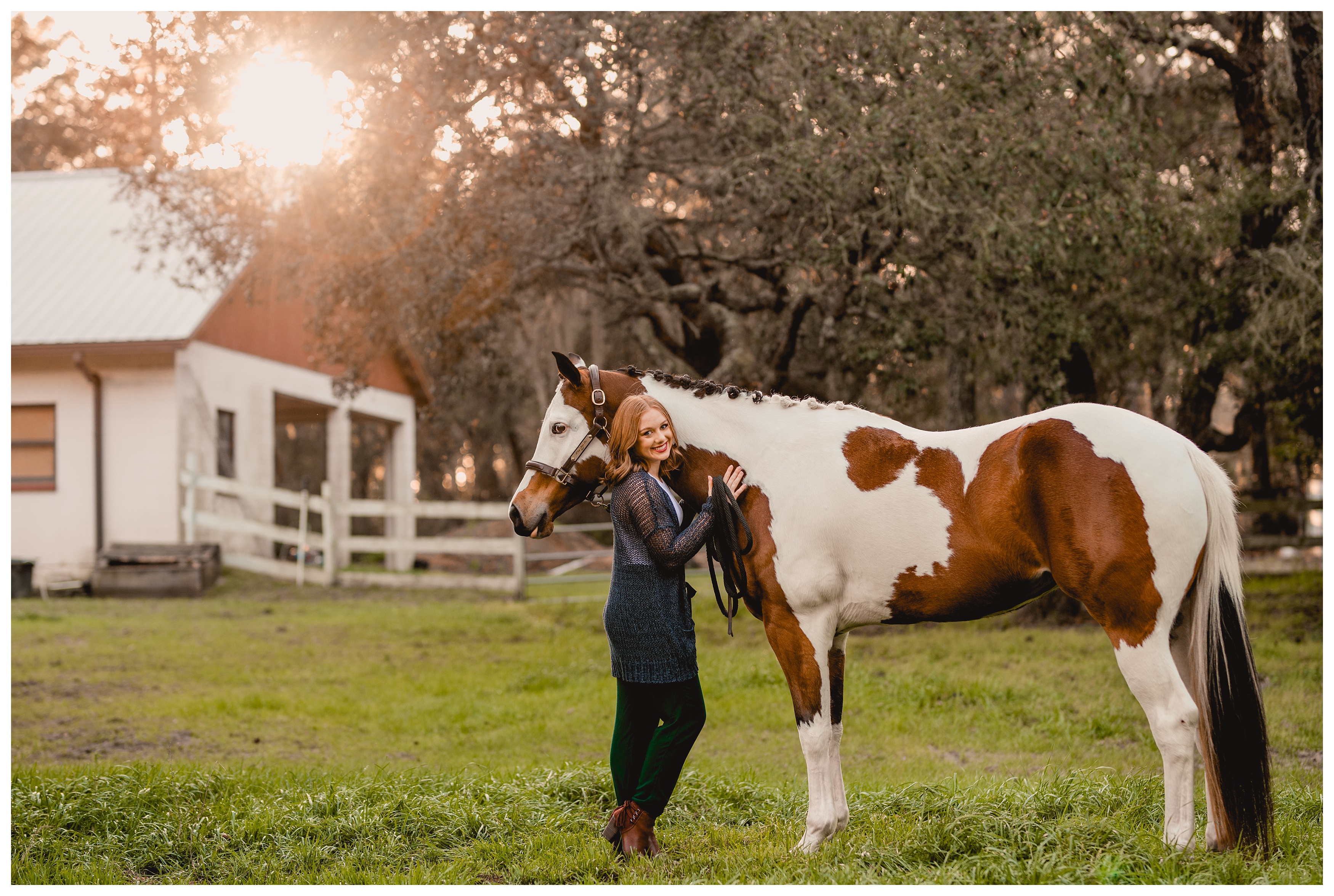 Professional equine photographer in Ocala takes pictures of horse registered with the American Paint Horse Association in Florida. Shelly Williams Photography