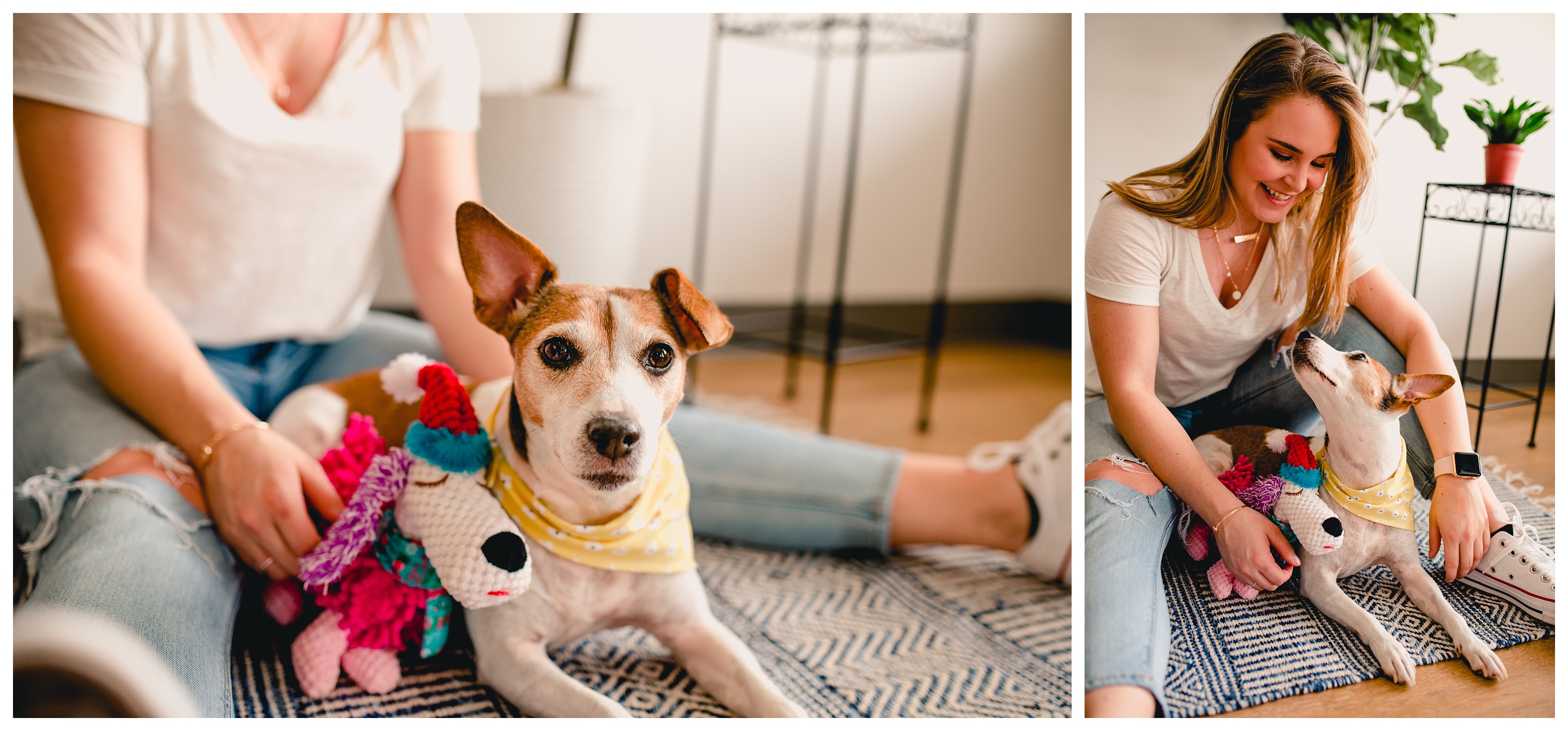 Playful lifestyle photography of dog and dog's human in Florida. Shelly Williams Photography