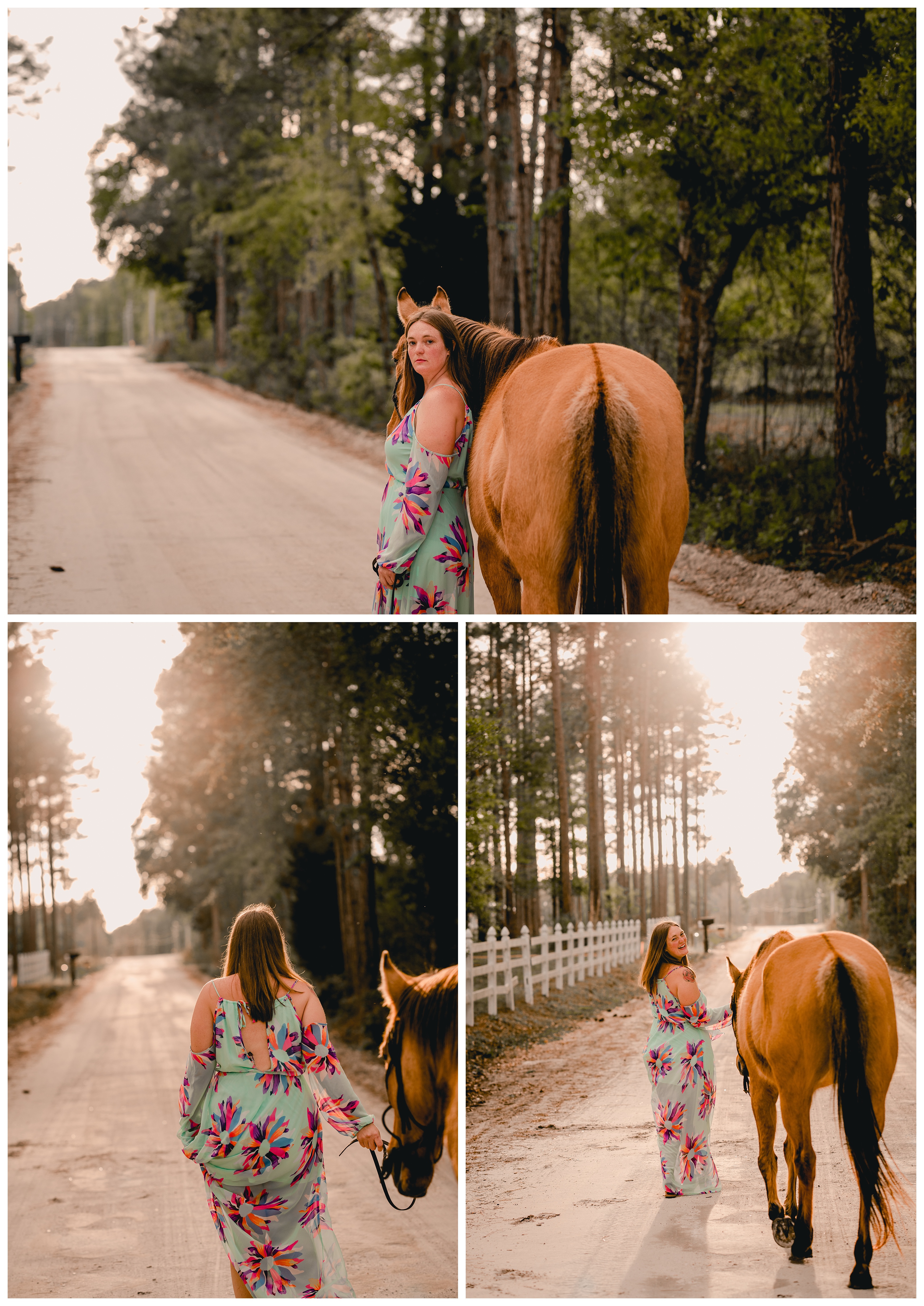 Sunset photos of horse and rider on dirt road in Florida by pro photographer. Shelly Williams Photography