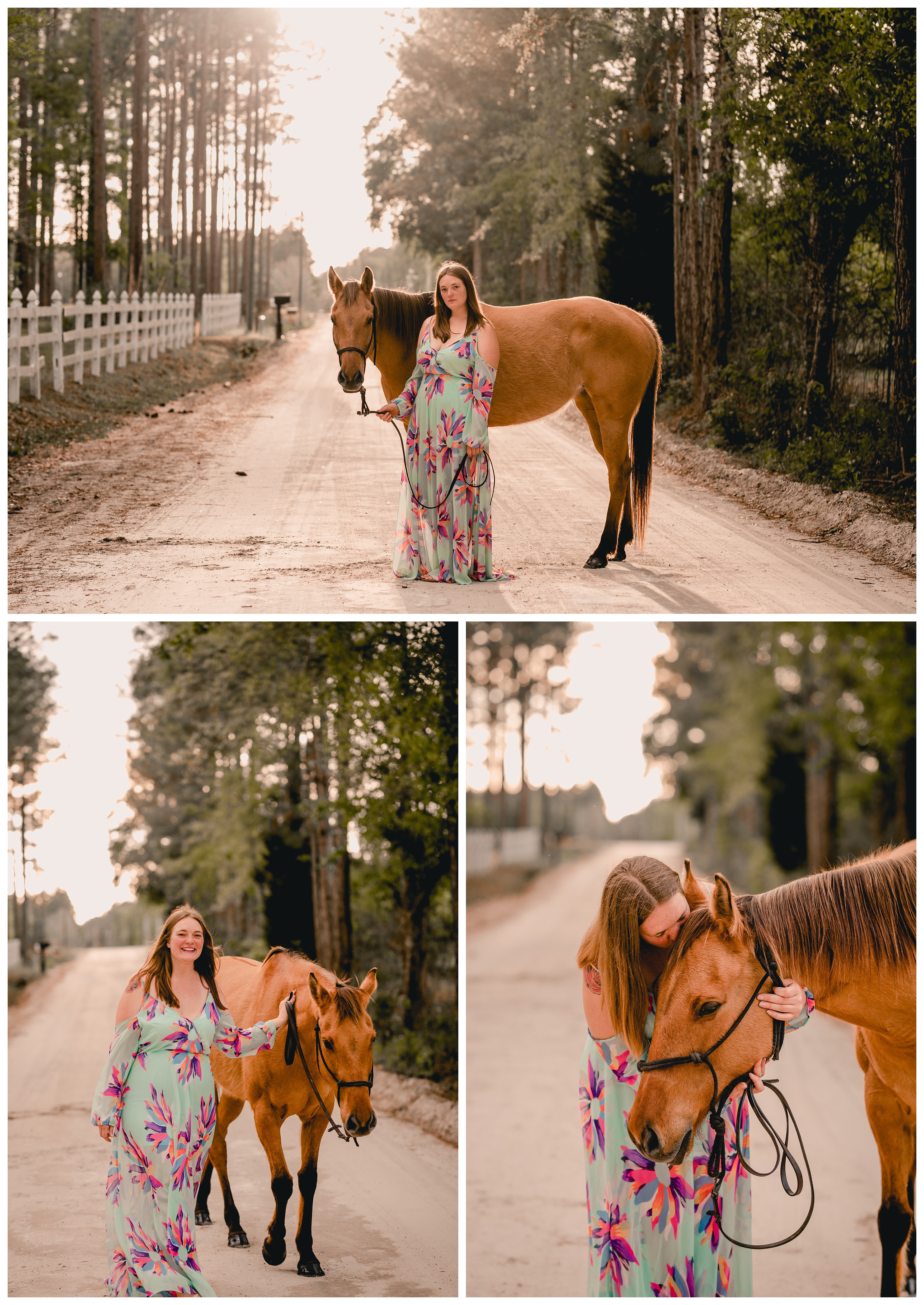 Pro horse photographer in Florida takes pictures of dun horse with girl in a dress. Shelly Williams Photography