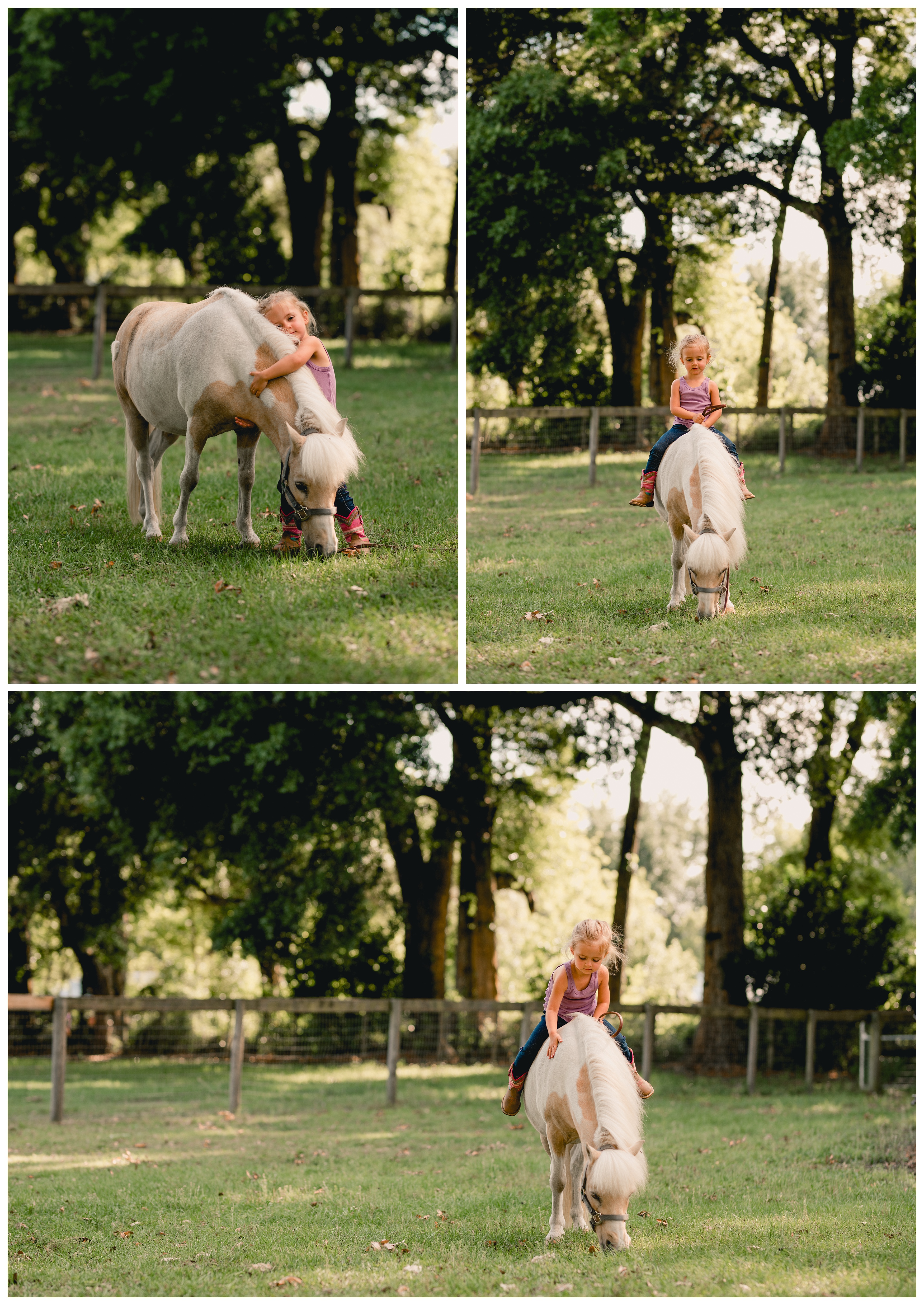 Photographer who specializes in horse and rider photo sessions in the North Florida area. Shelly Williams Photography