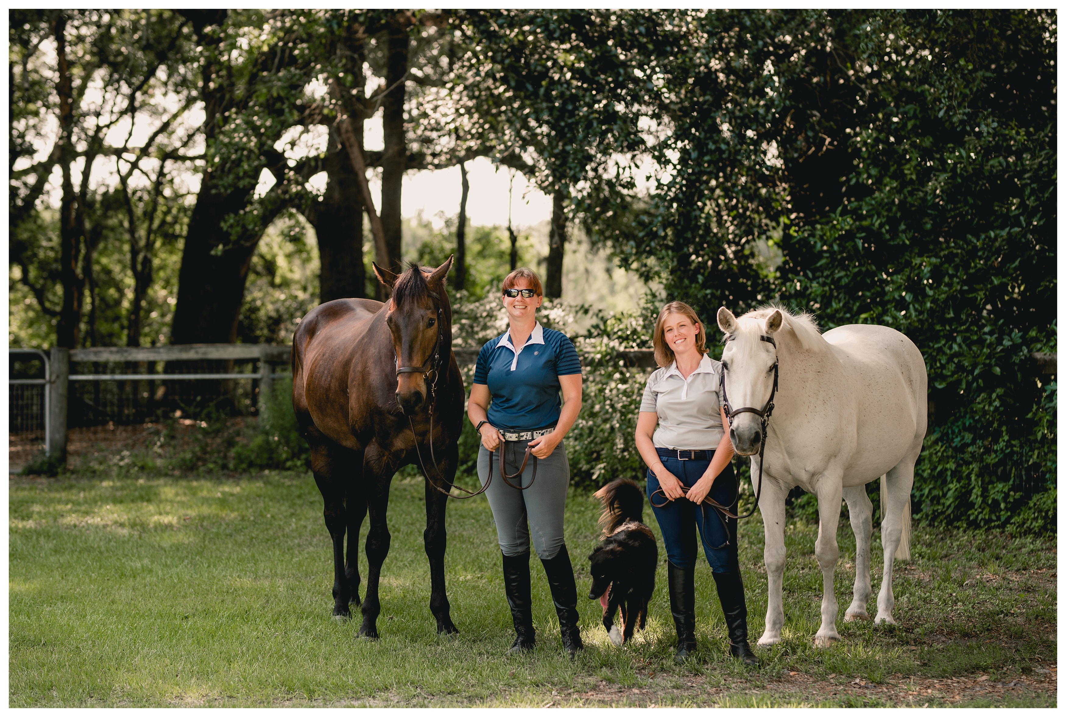Game on Eventing farm in Newberry, Florida. Shelly Williams Photography