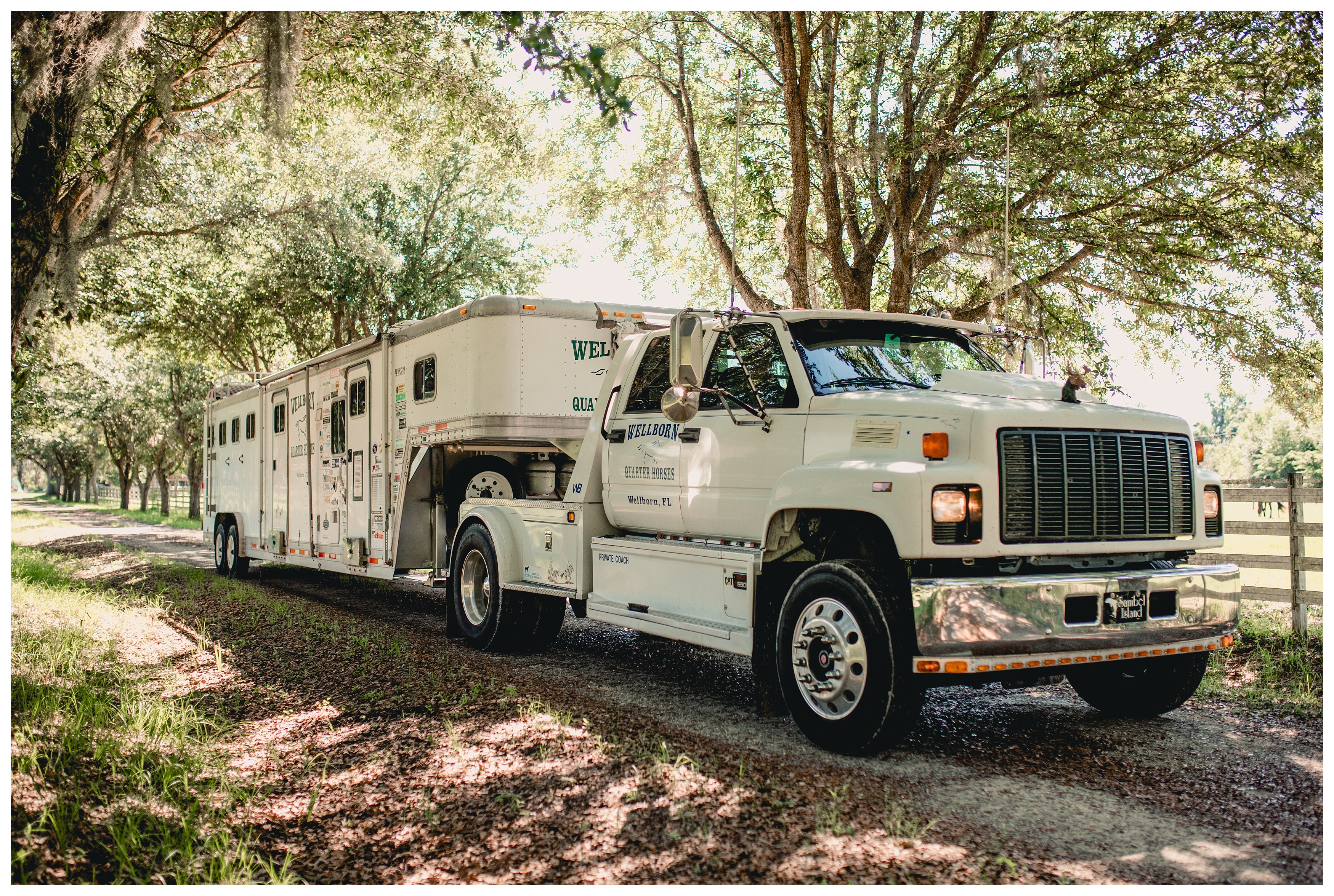 Wellborn Quarter Horses transportation company and horse training in Florida. Shelly Williams Photography