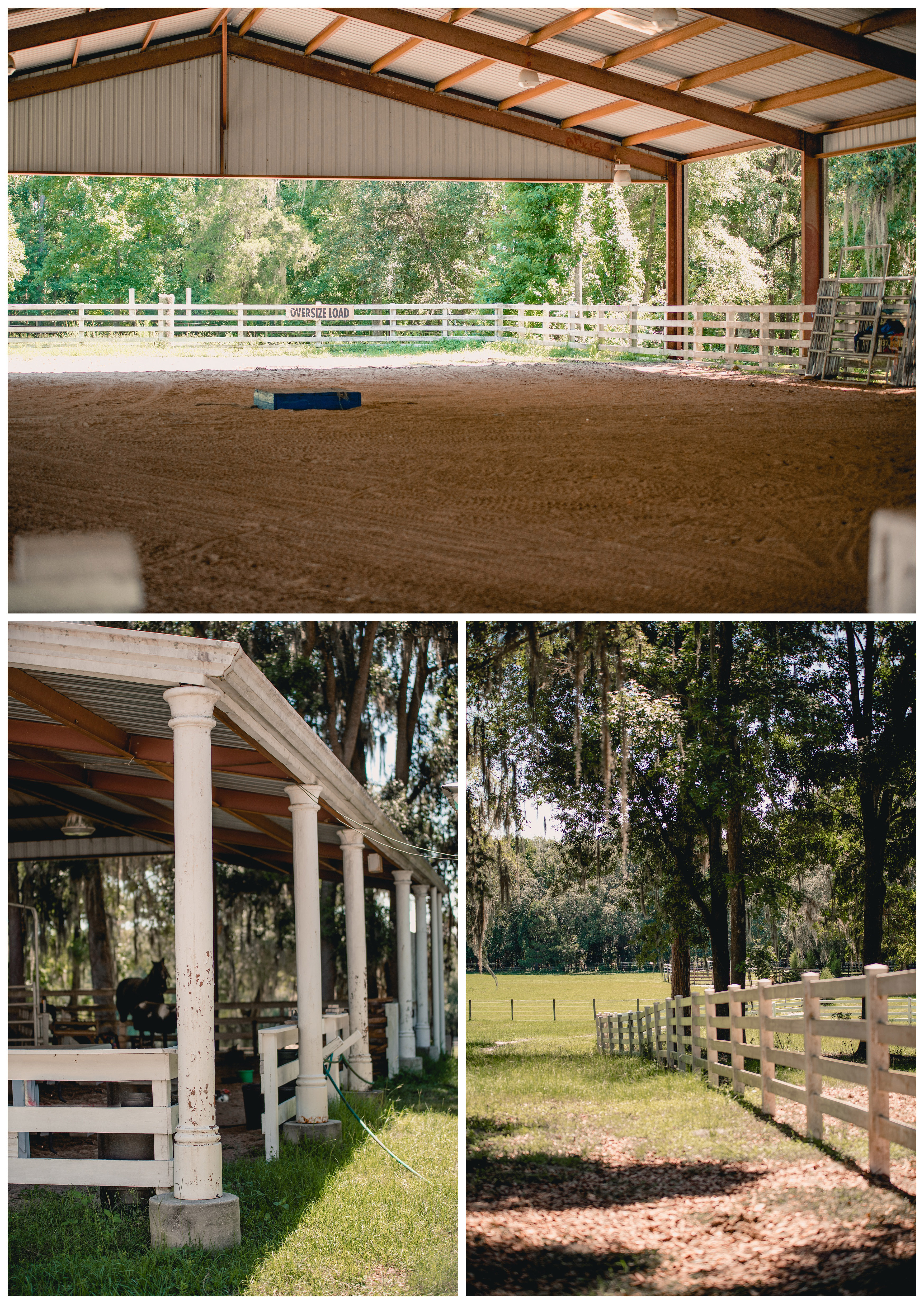Facility photos of Wellborn Quarter Horses taken by professional horse photographer Shelly Williams Photography