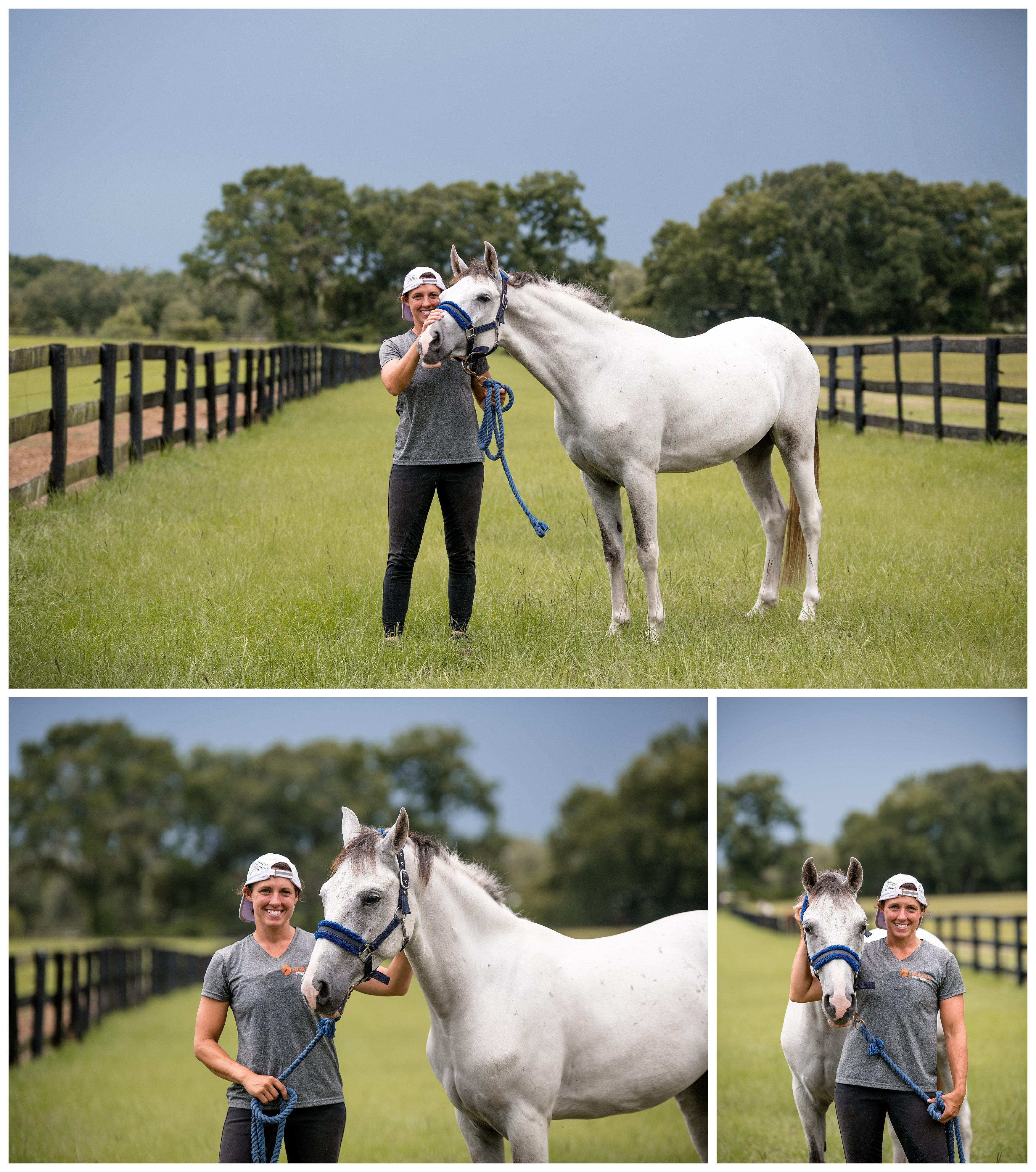 An adopted horse at the Horses without humans rescue in north florida. Shelly Williams Photography