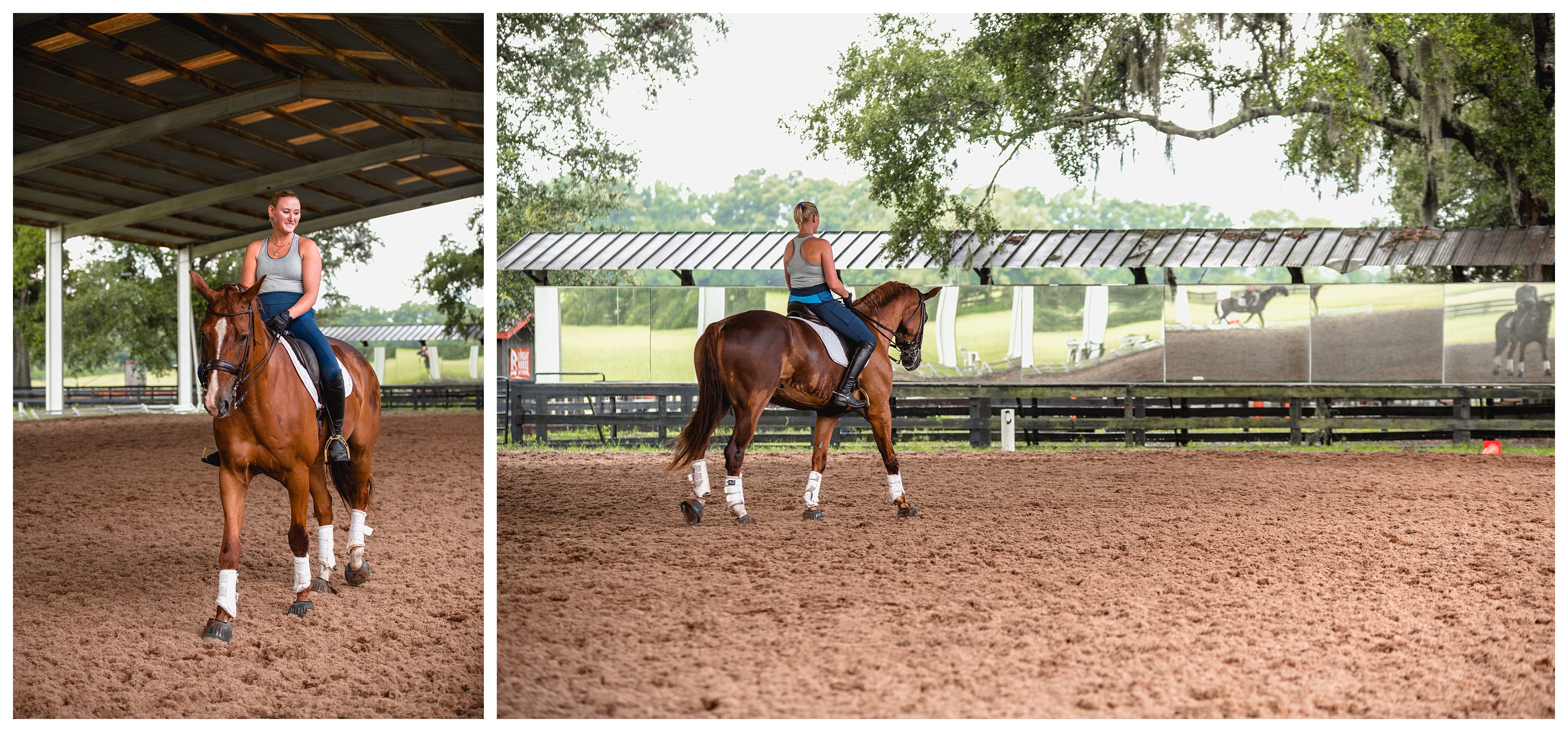 KYB Dressage, horse dressage lessons in north florida by professional trainer