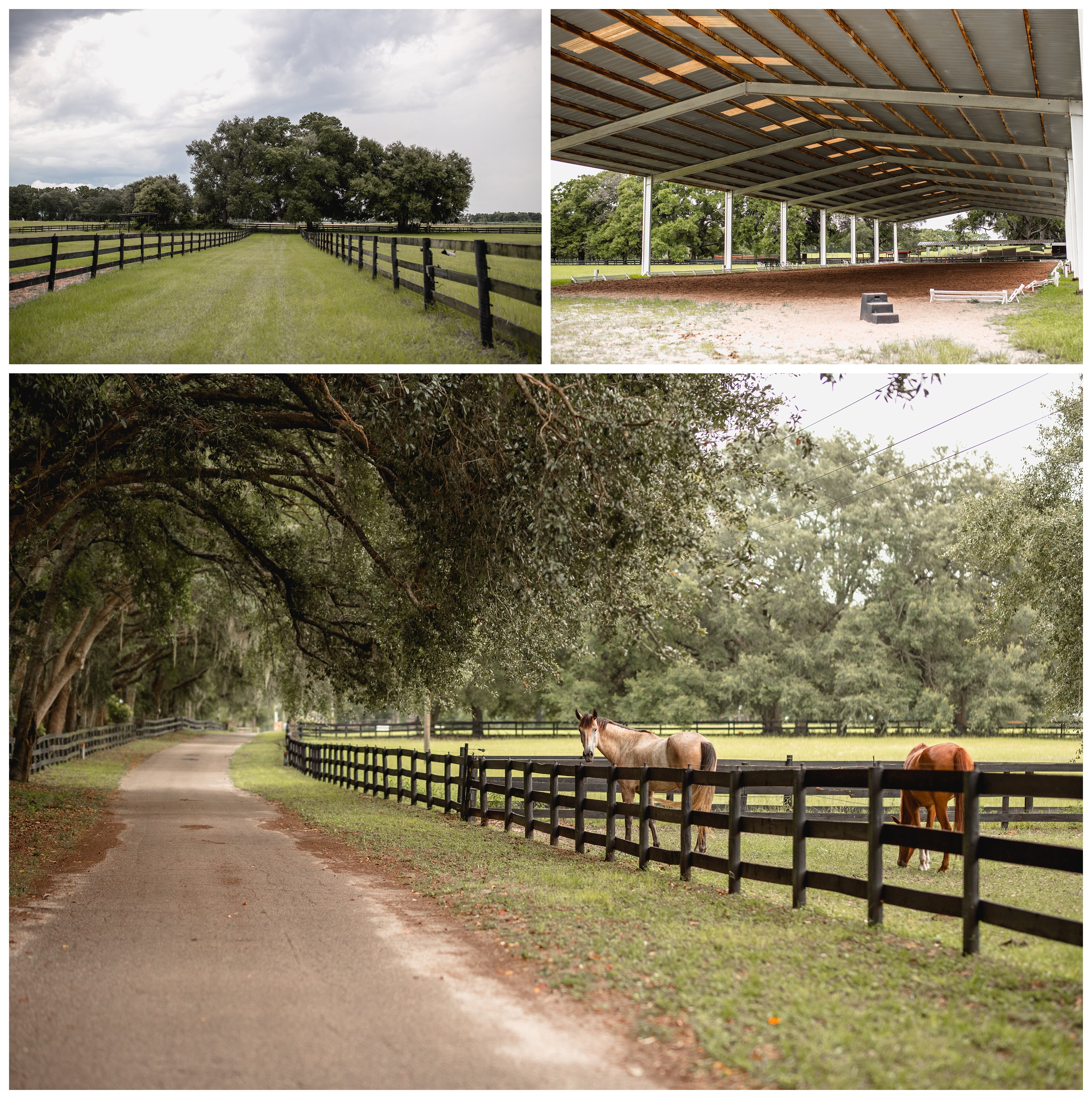 KYB Dressage, professional horse training in north florida on beautiful, large facility