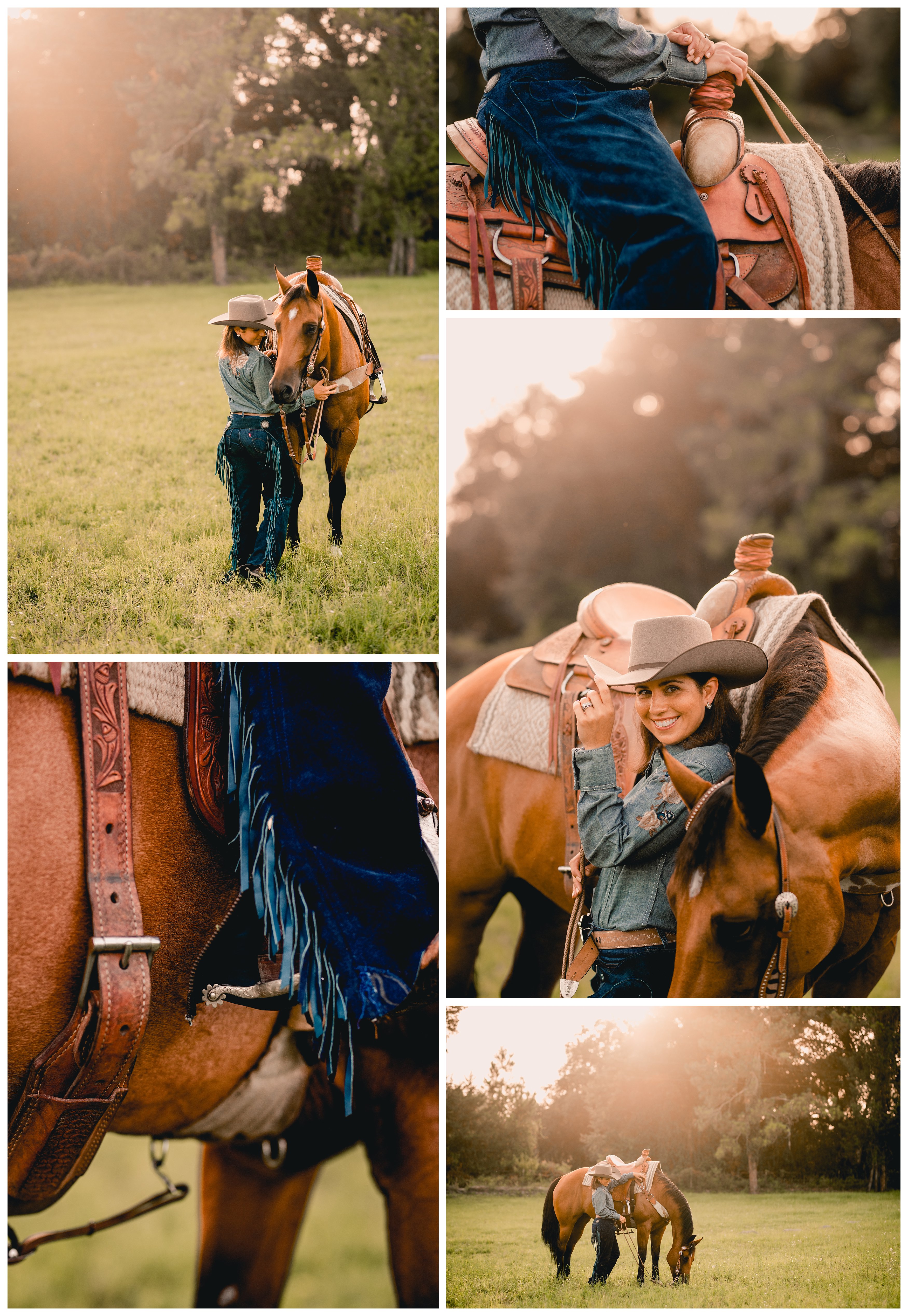 Beautiful golden hour pictures of western rider and horse in Gainesville, FL.