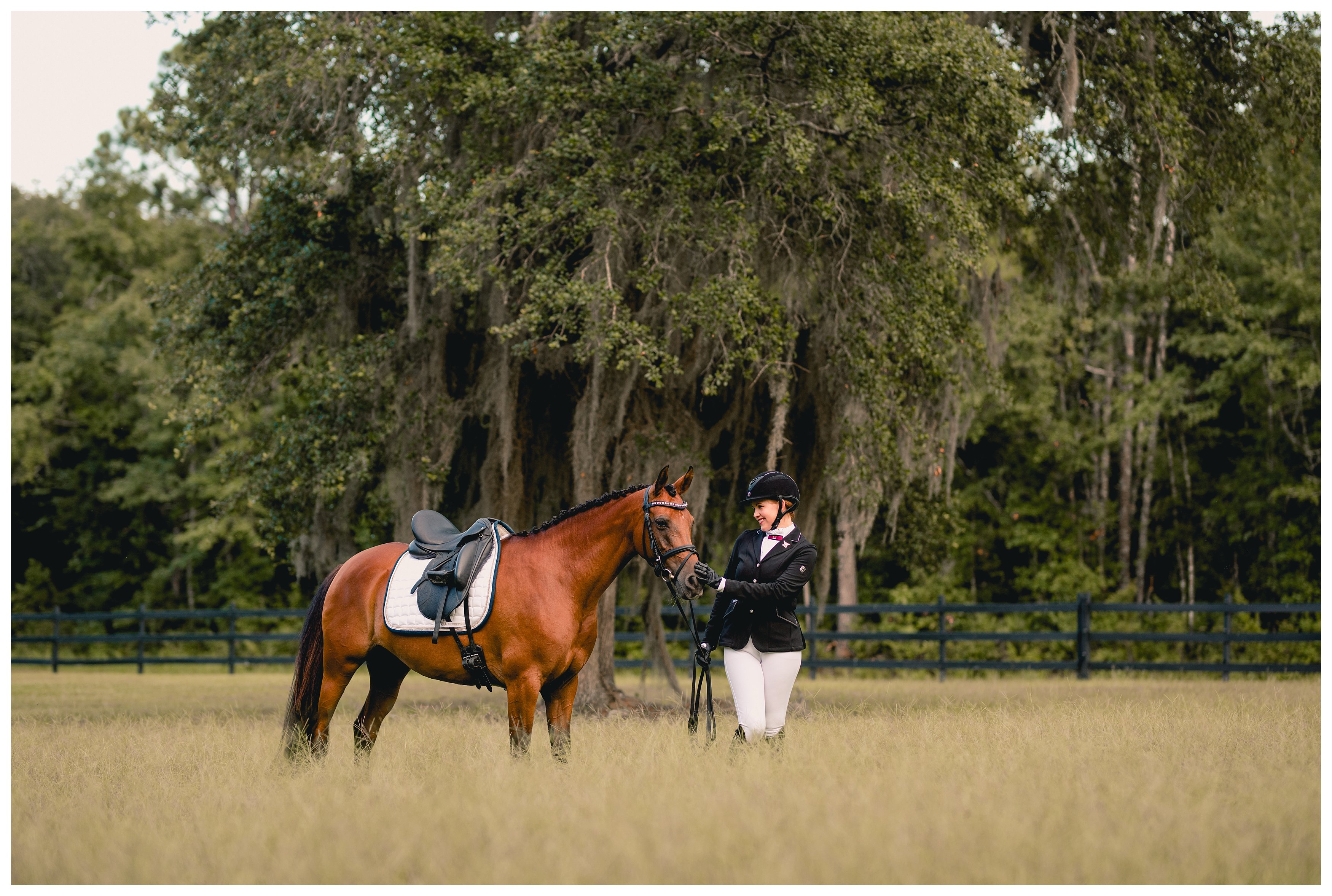 Lifestyle horse photographer in Jacksonville takes photos of equestrian in large, shaded field.