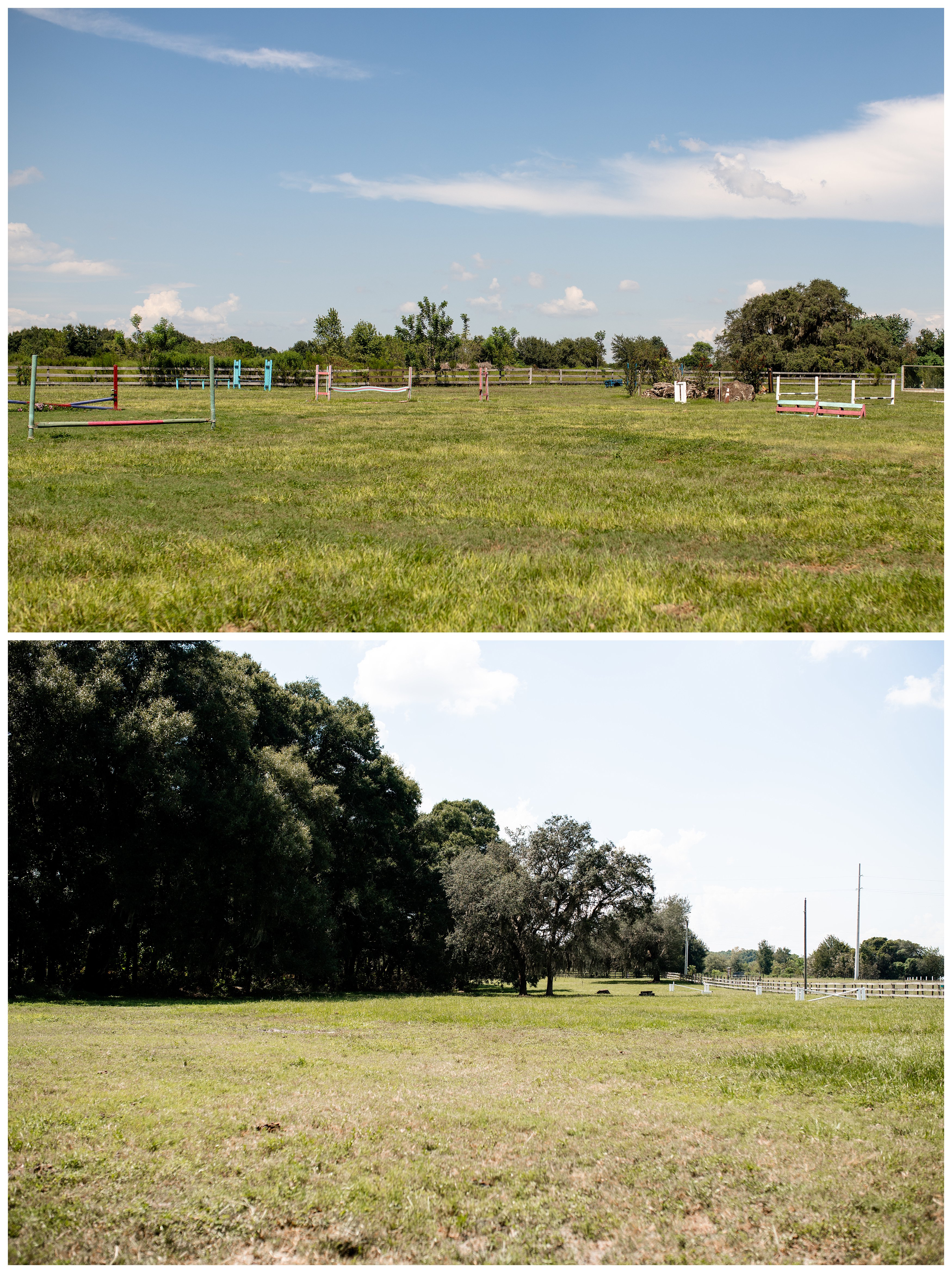 Lucious pastures at Run of Luck LLC near Ocala, Florida.