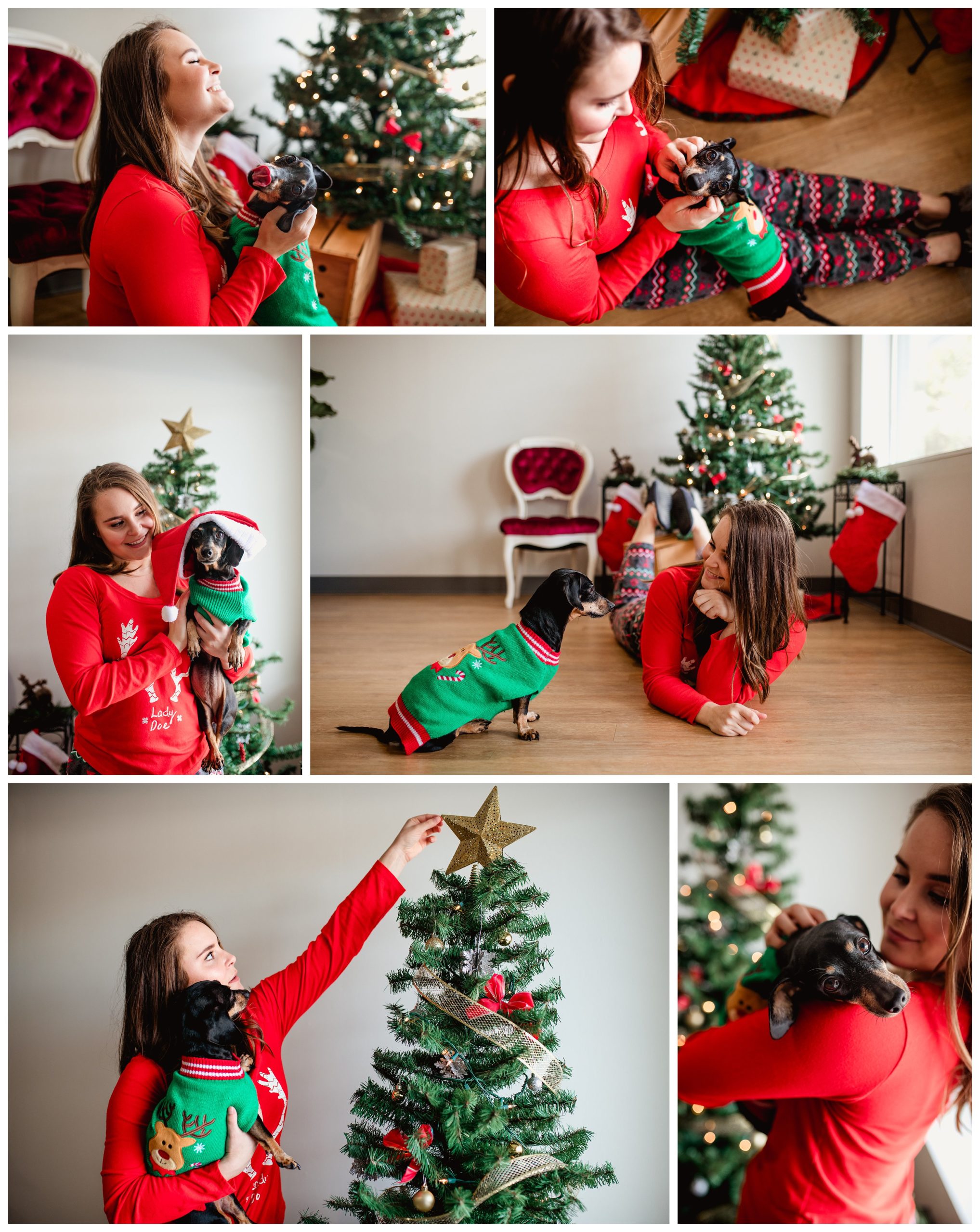 Dog with Christmas tree in dog sweater taken by lifestyle dog photographer in Florida.