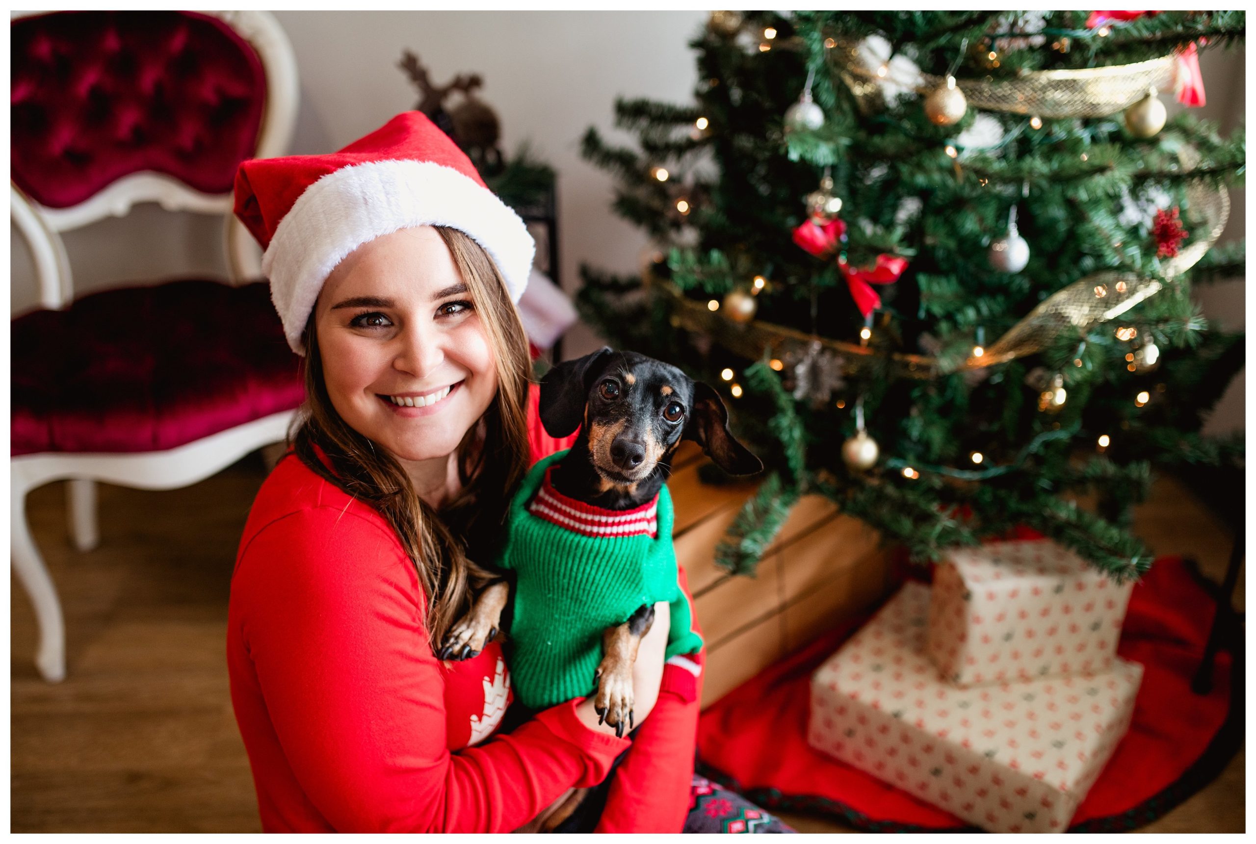 Professional dog photographer in north Florida takes Christmas dog photos in her studio