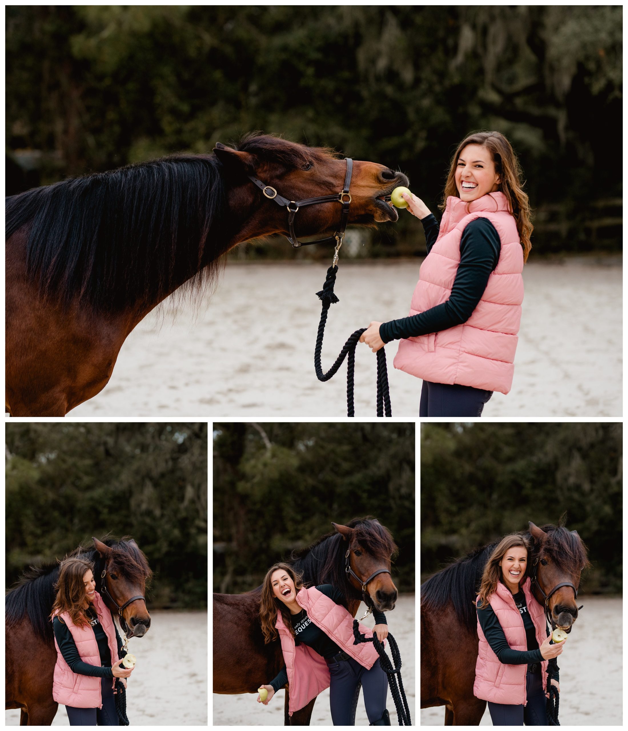 Cute photos of horse eating an apple during a photo shoot.