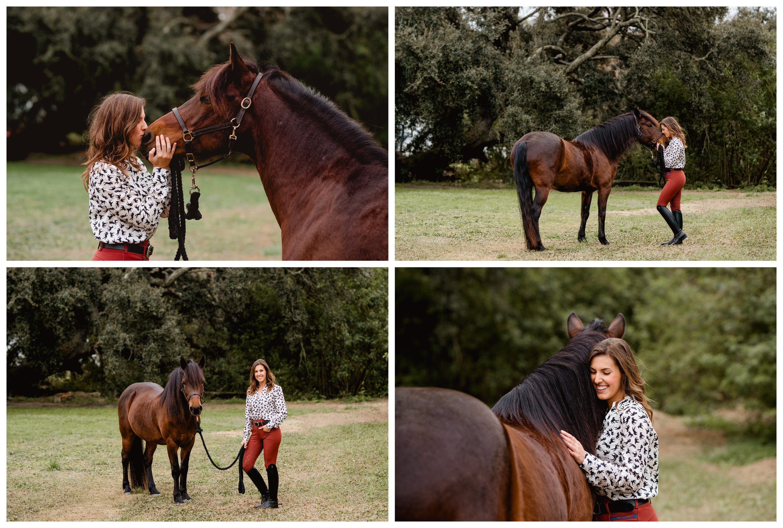 Dressage pony has professional photo shoot with an equine photographer in Florida.