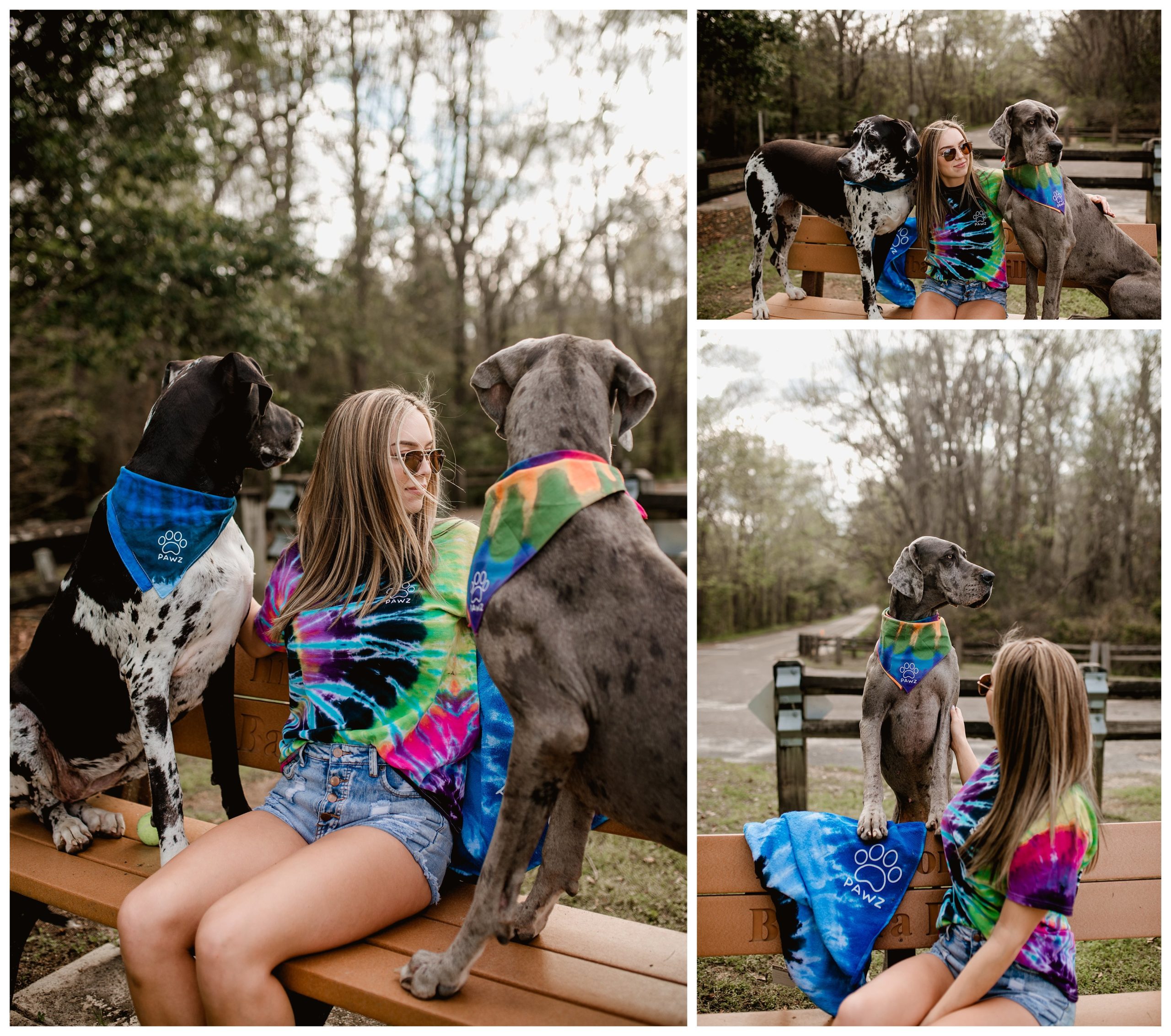 Great Danes with their owner have pet portrait session in the outdoors of Florida.