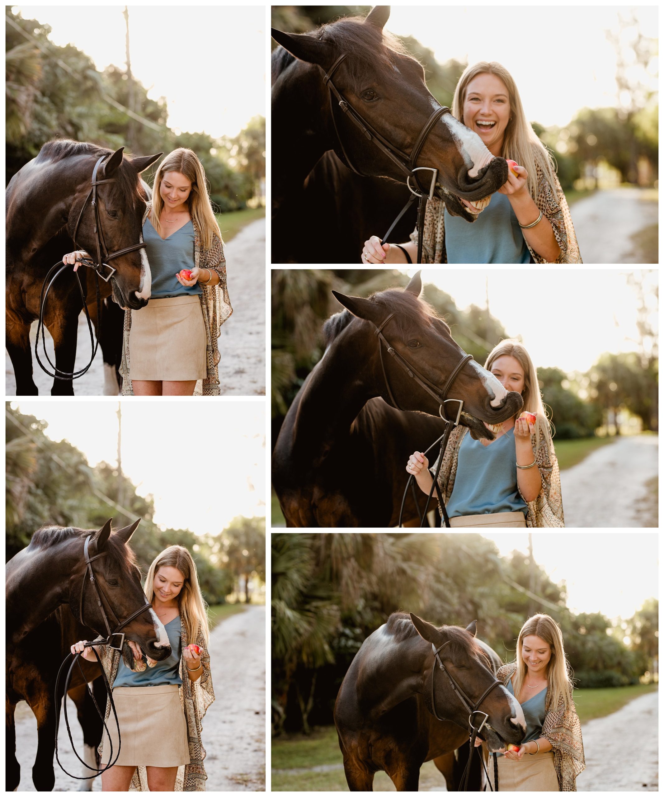 Natural and candid moment between horse and owner giving the horse and apple treat!