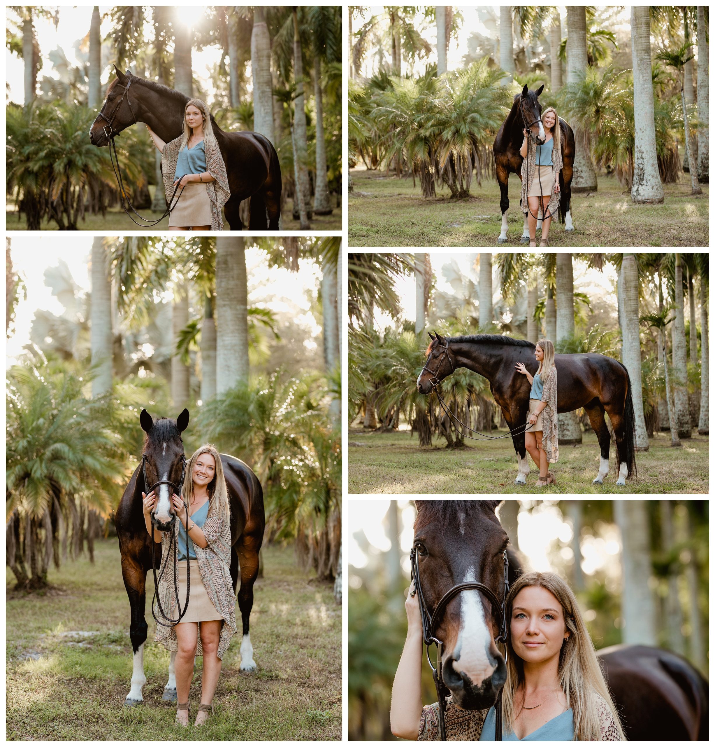 Palm trees and horses in the beautiful wellington, Florida!