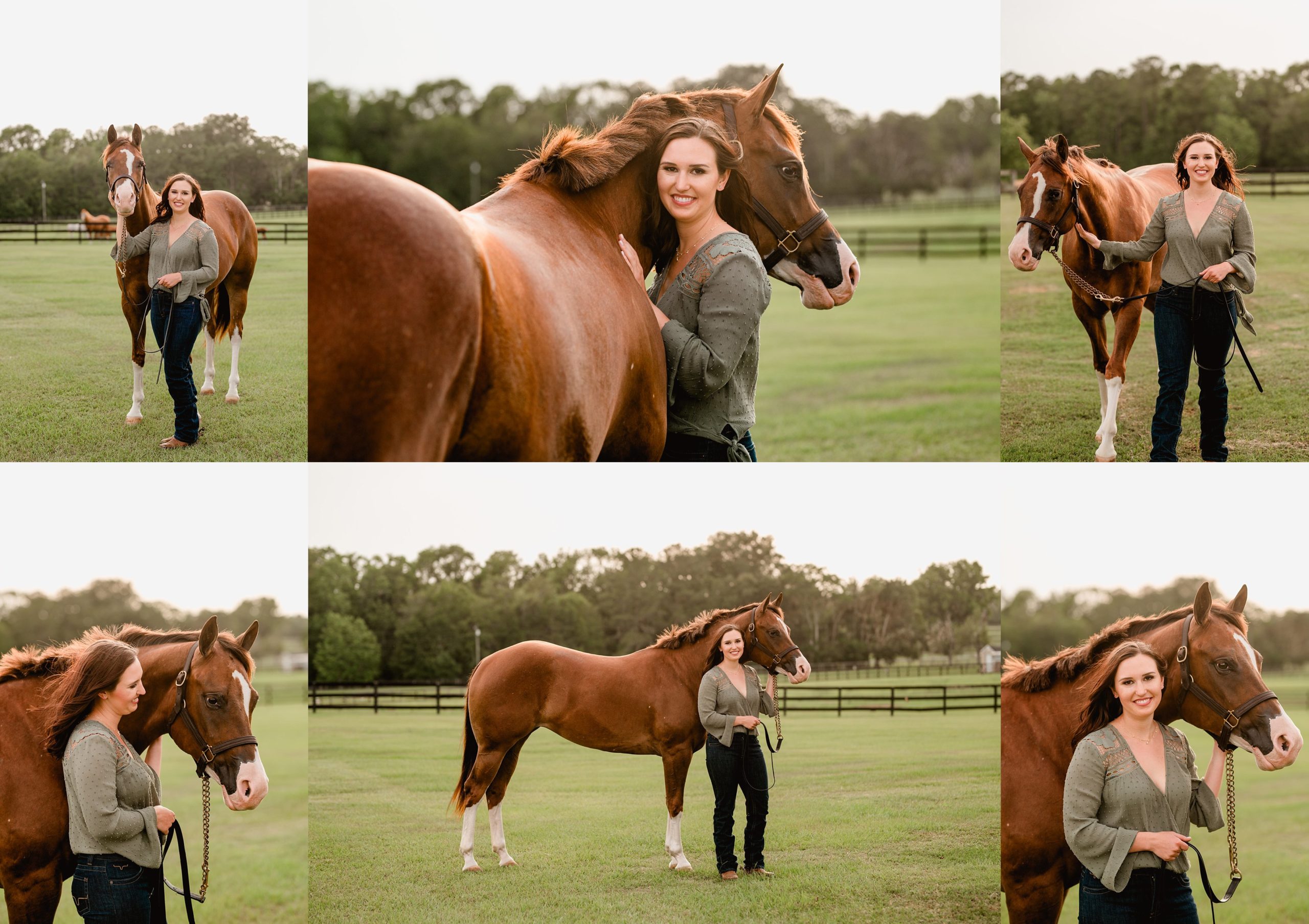 Appaloosa breeder in florida specializing in western pleasure horses