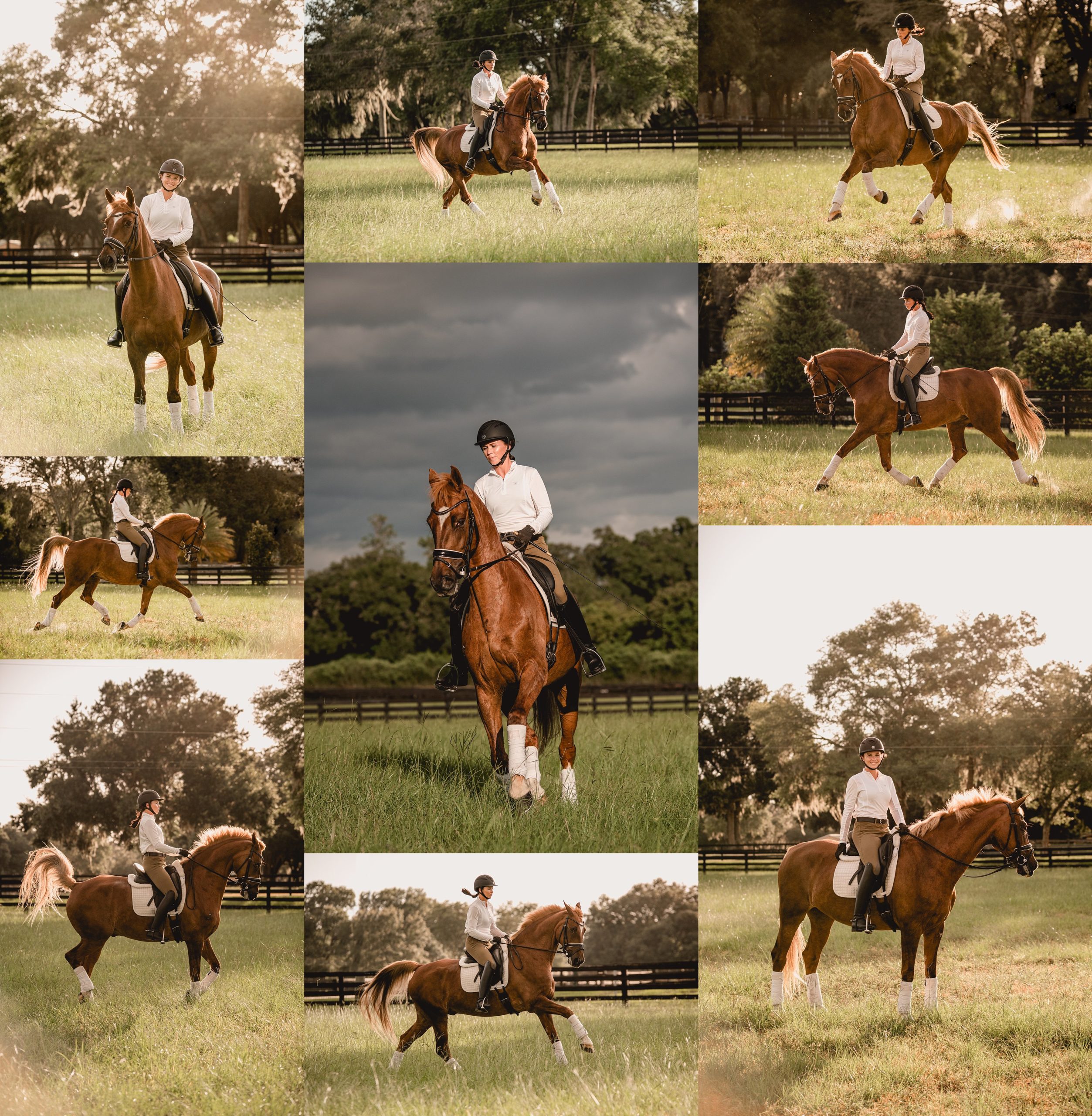 Ocala dressage horse photographer takes riding photos during sunset.
