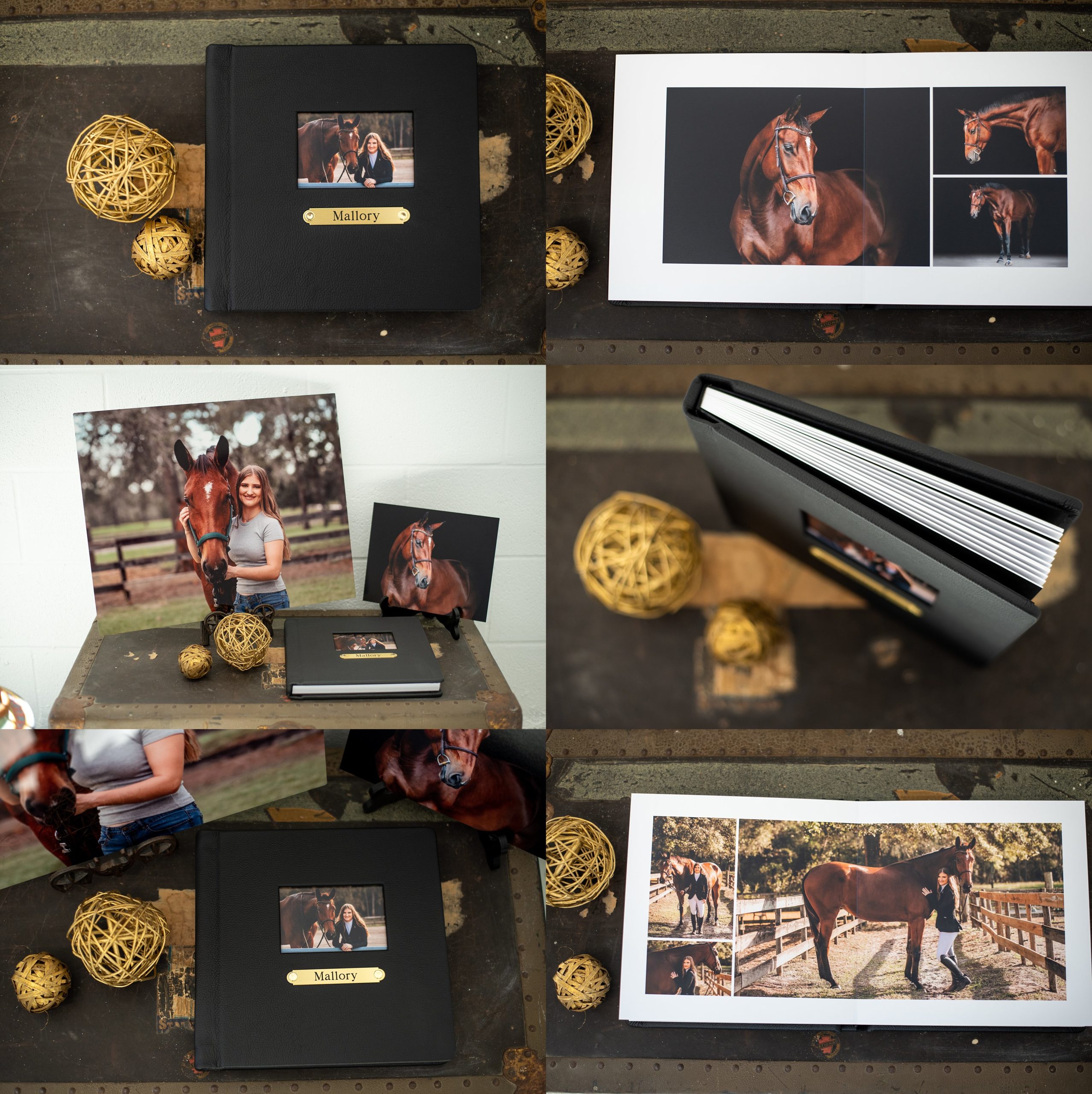 Equestrian album personalized with a brass nameplate.
