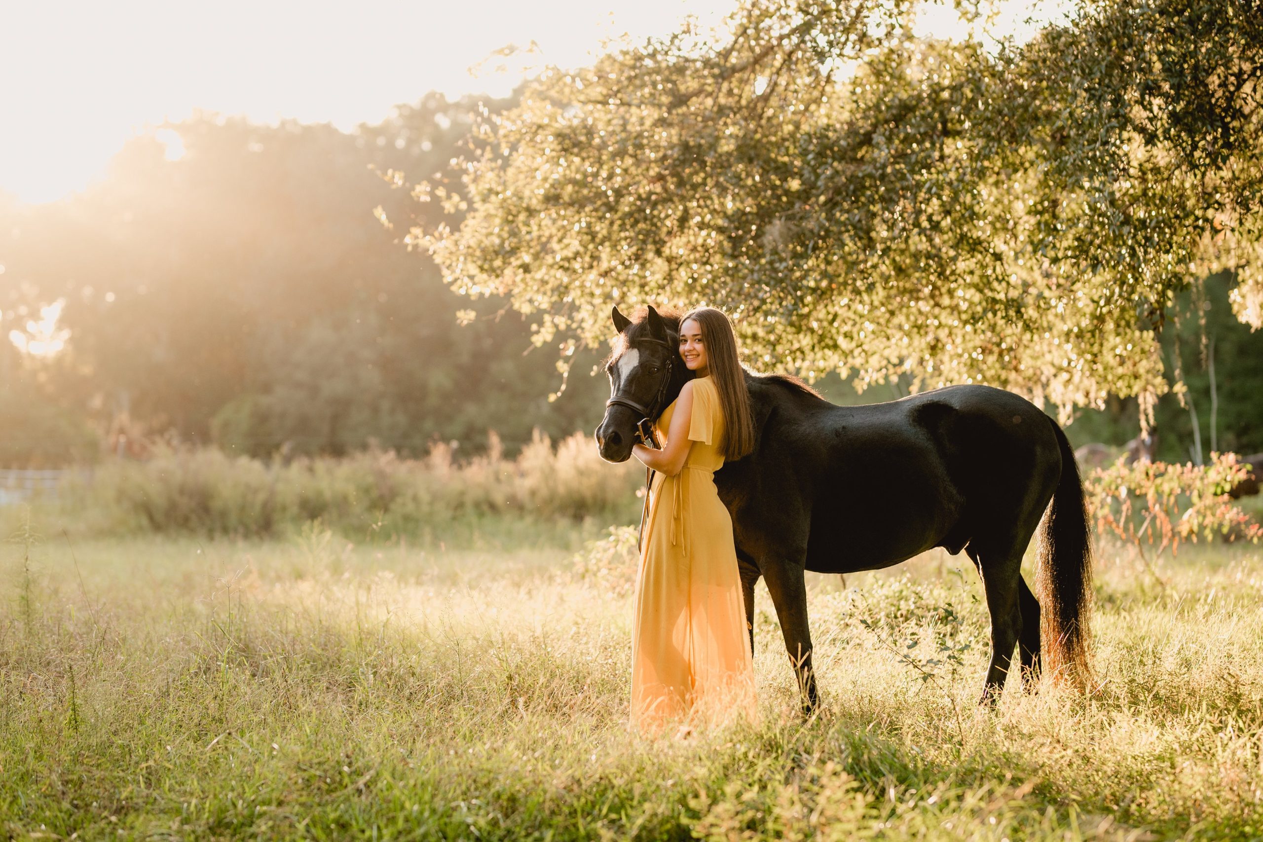 Horse and rider session during the golden hour in Gainesville, FL.