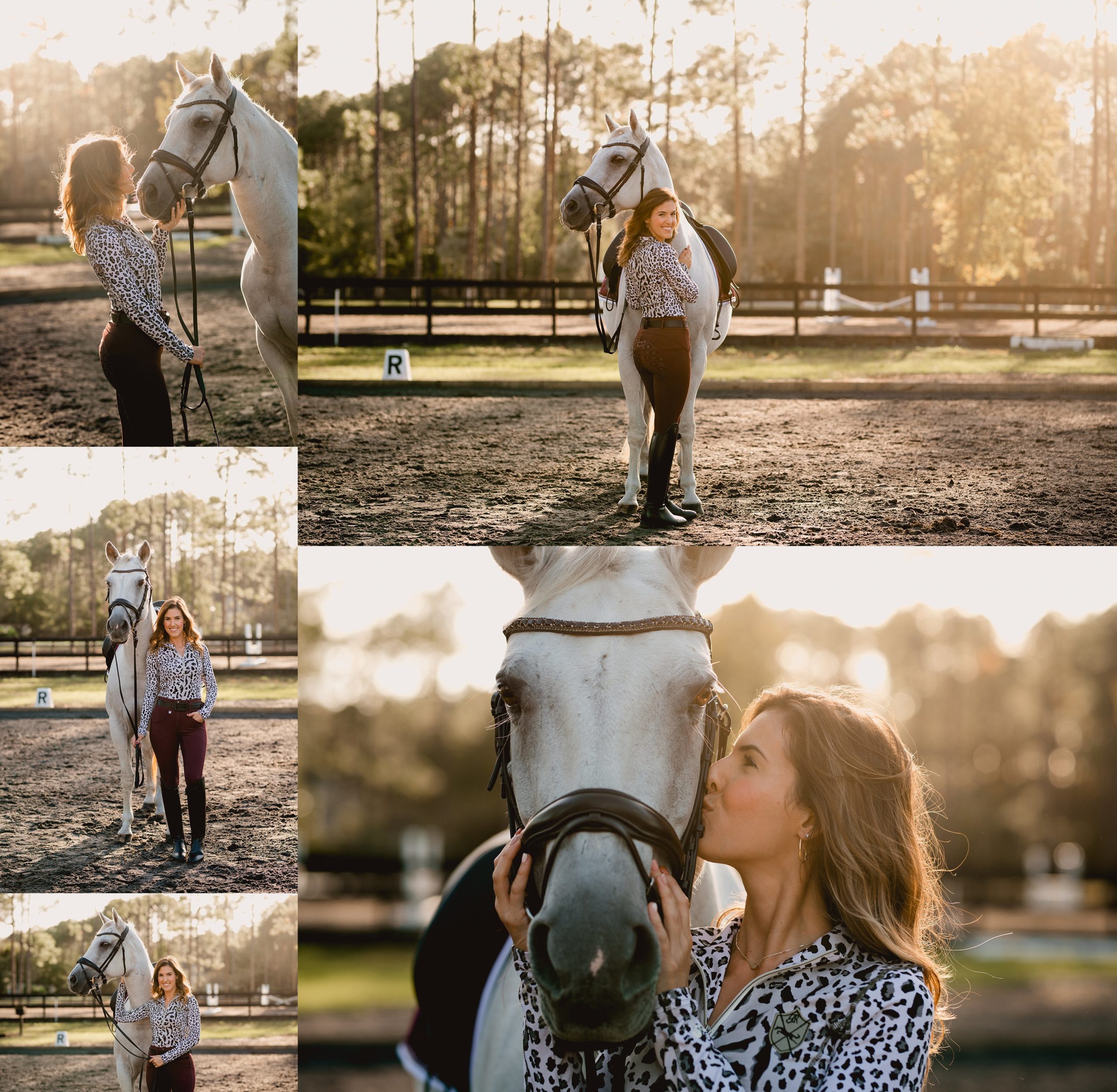Grey Quarter Horse mare who does dressage in North Florida. - Golden Hour - Horse and Rider poses - Romf breeches