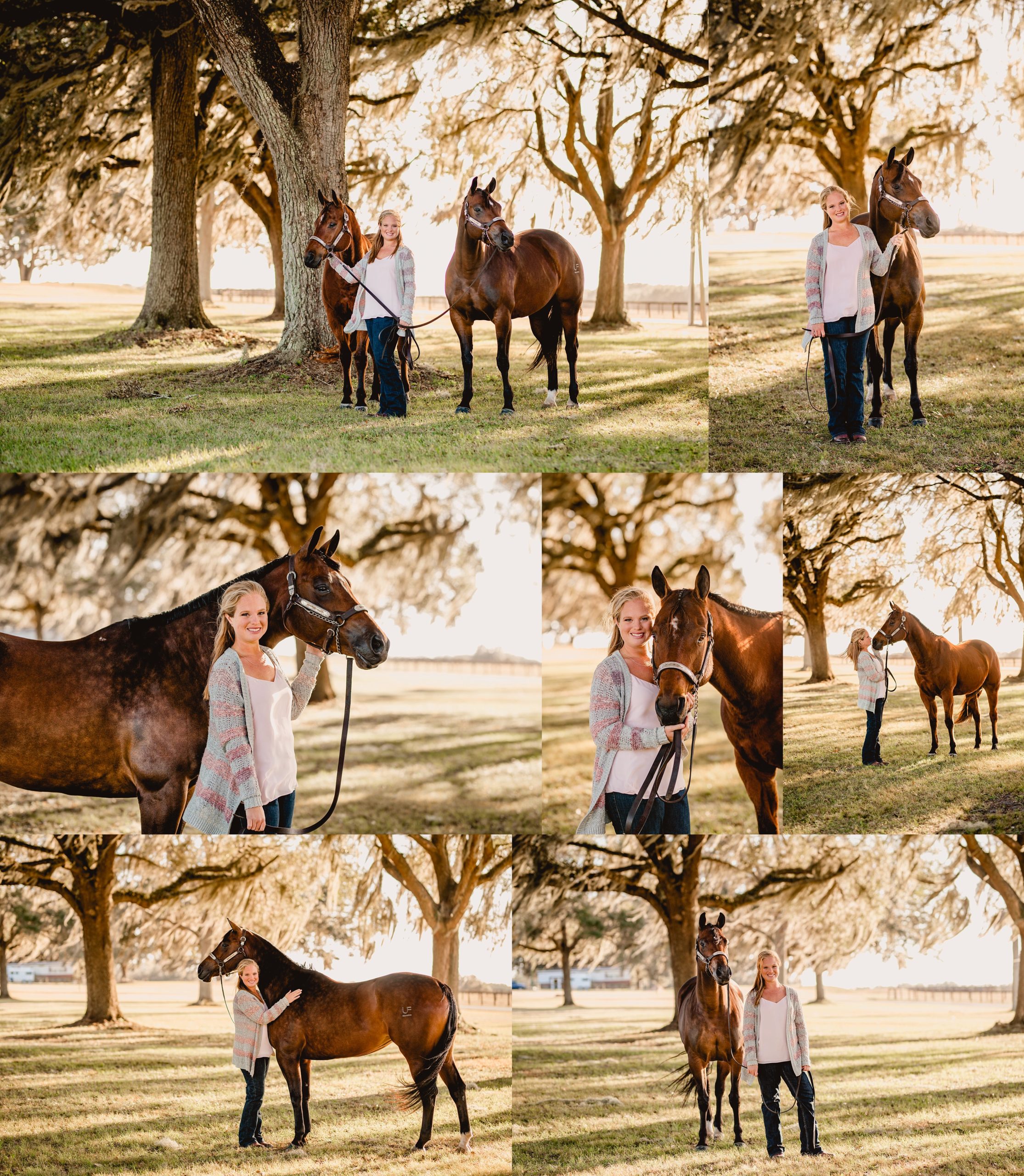 Western pleasure horses photographed with their owner in Ocala, FL.