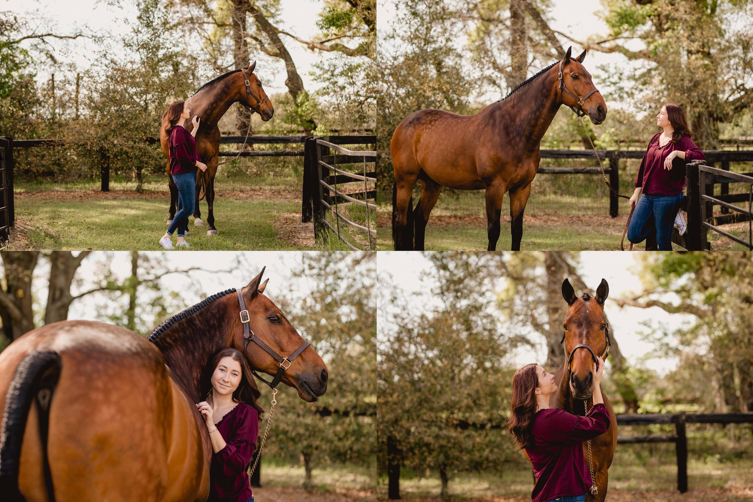 Horse and rider portrait session at HITS Ocala with Warmblood gelding and casual attire.