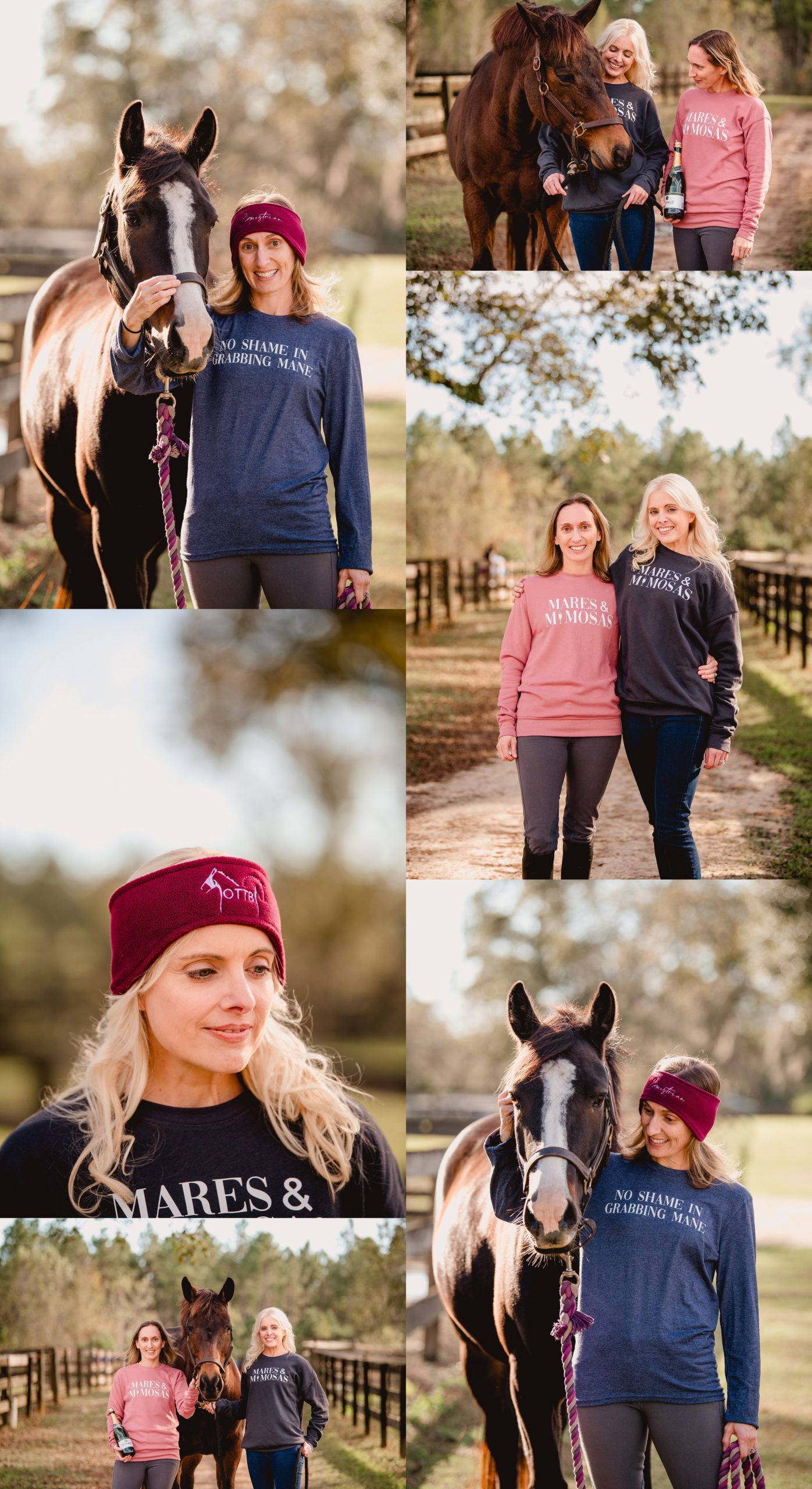 Content creation for new equine product photography.