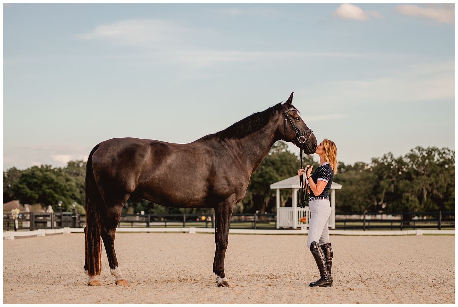 Ocala dressage rider photographer specializing in horse and rider portraits. Shelly Williams Photography