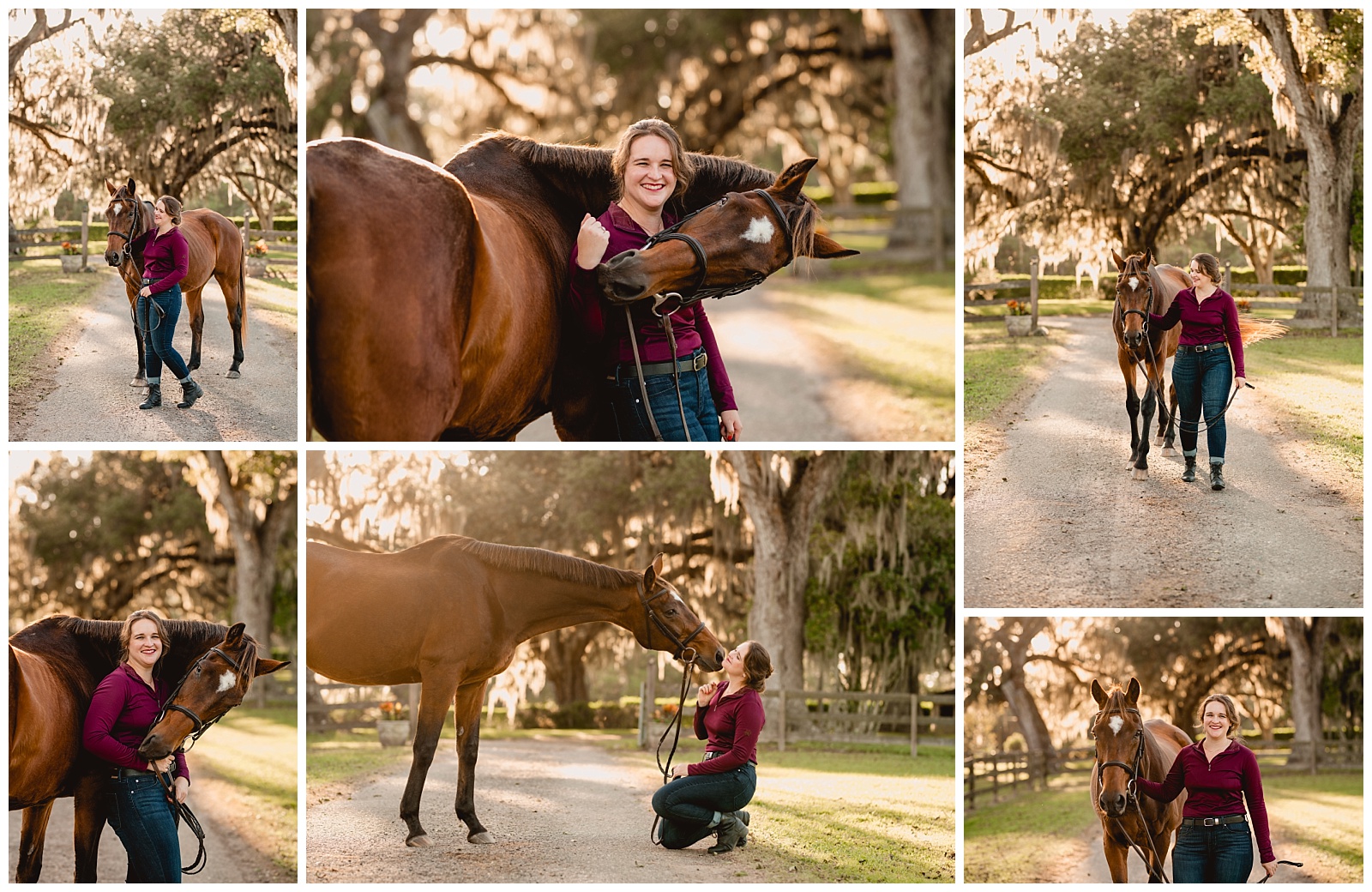 Sunset horse and rider photos near Tallahassee, Florida with Thoroughbred horse. Florida Equine Photographer