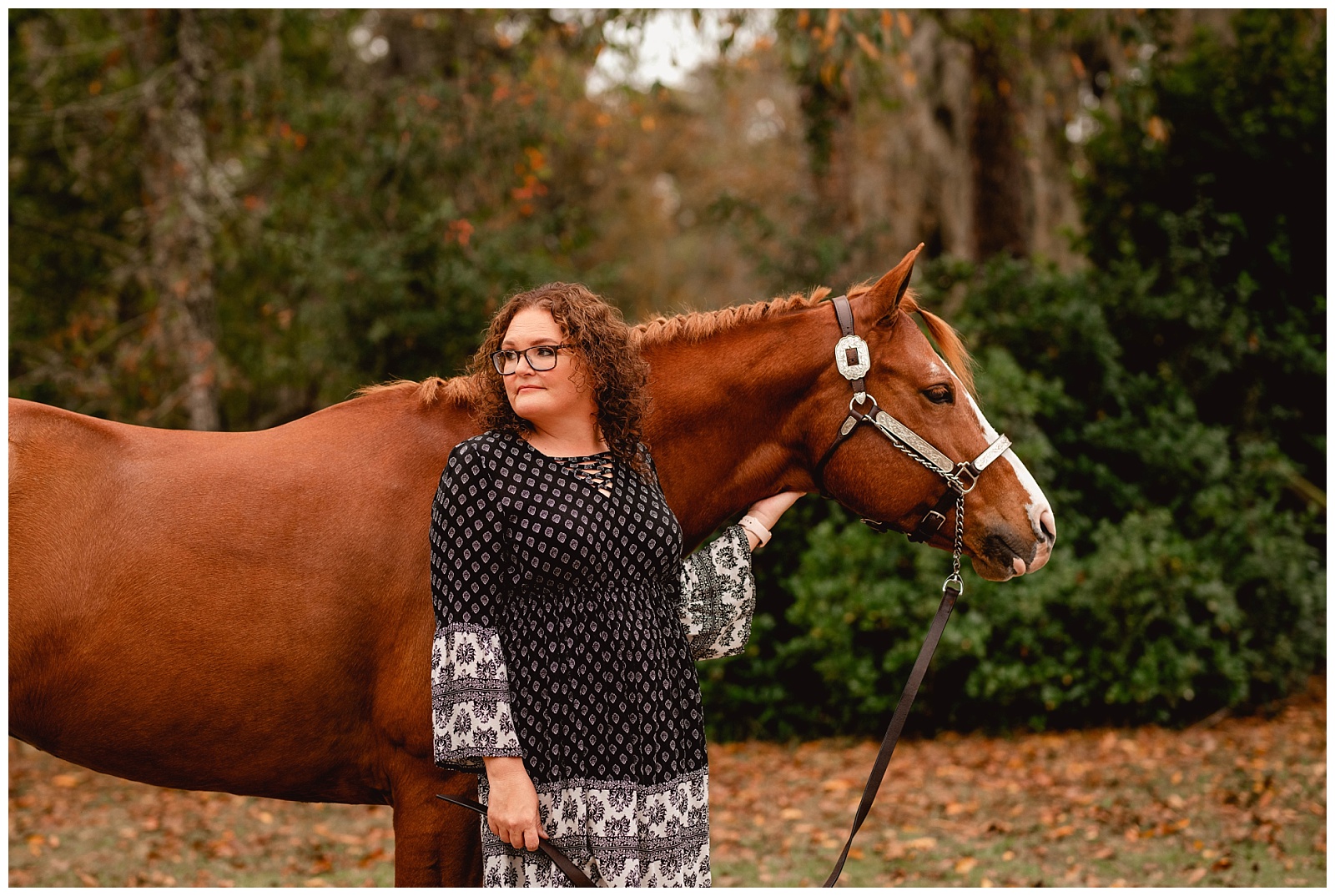 Jacksonville, Florida equestrian photographer.