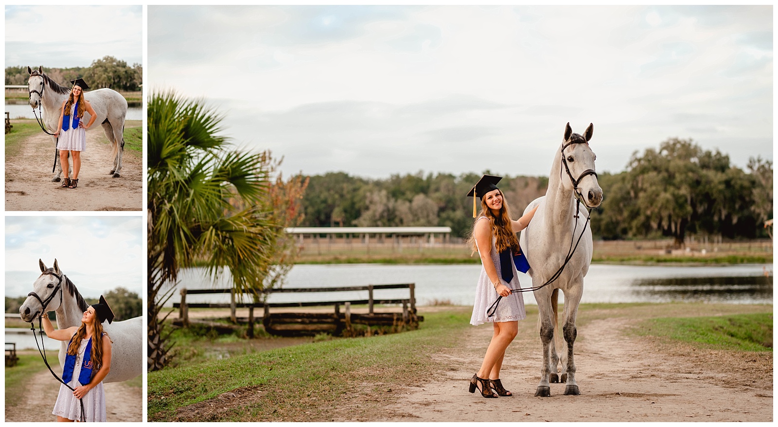 University of Florida graduation pictures with horse at the Horse Teaching Unit on campus.