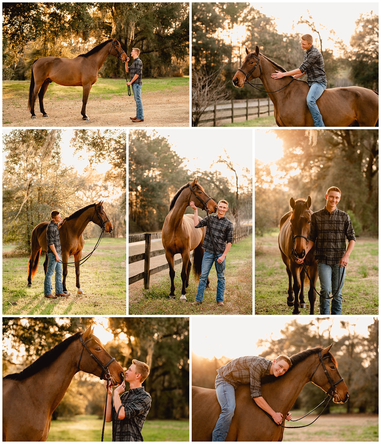 Equestrian photographer near Tallahassee, Florida. Golden hour at Cavallo Farms.