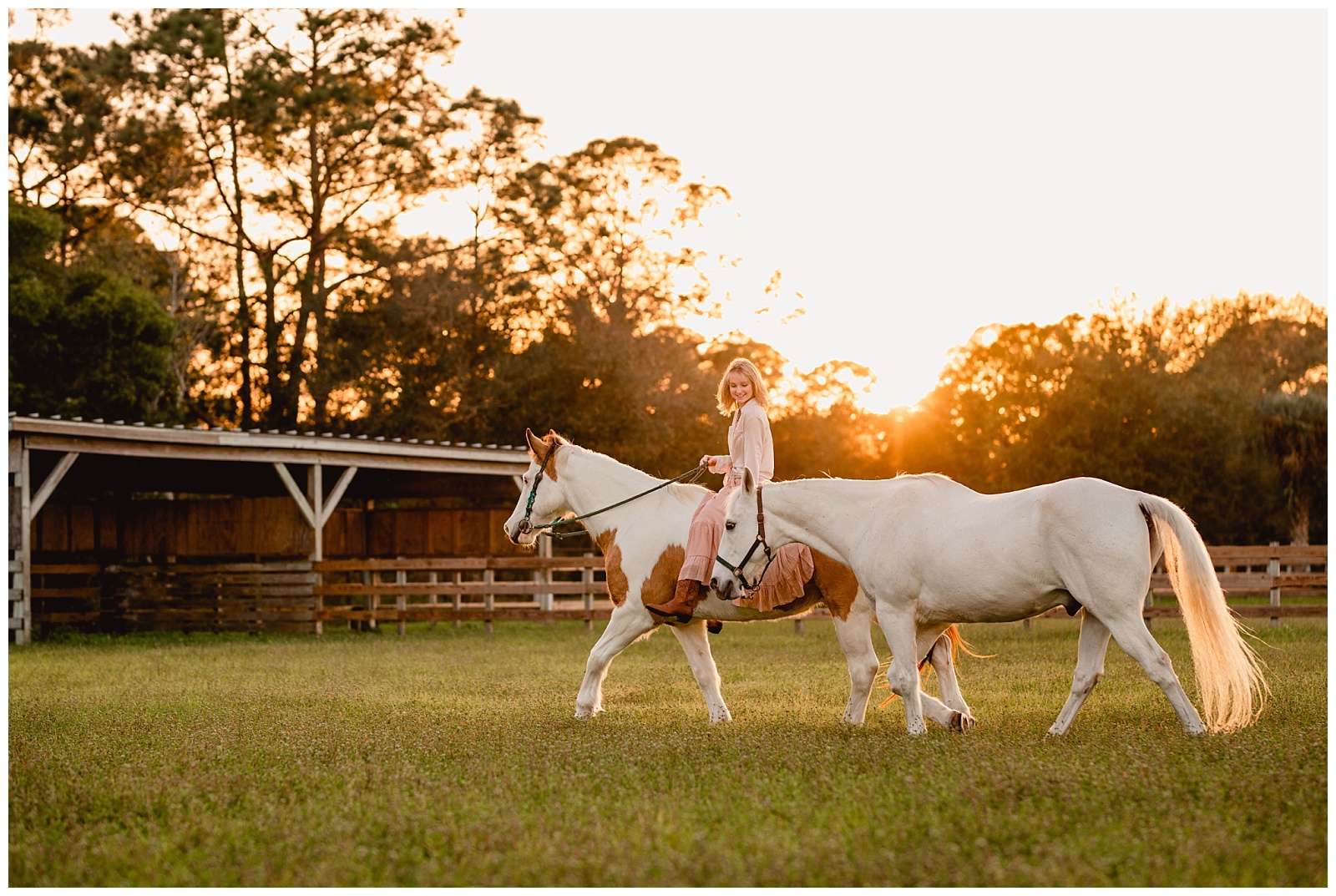 South Florida Equestrian photoshoot during golden hour with two horses.